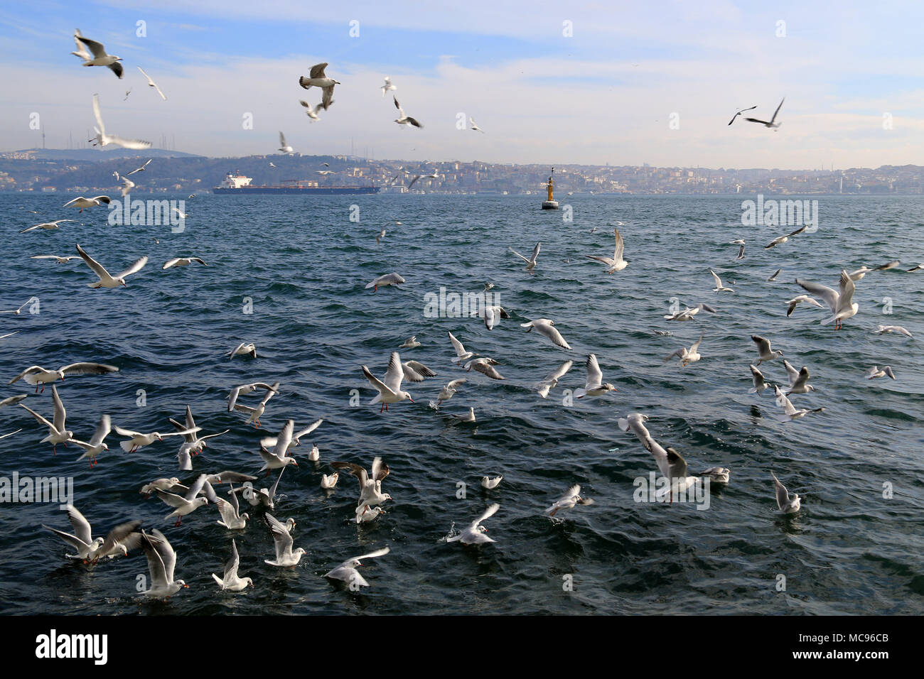 Rammstein mit einem großen bulk carrier im Hintergrund über den Bosporus in Istanbul, Türkei navigieren Stockfoto