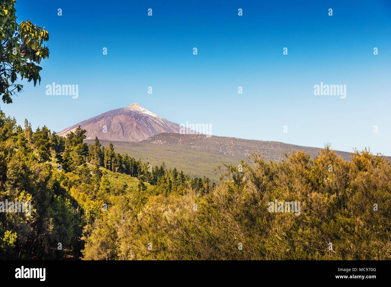 Sonnige Landschaft mit Vulkan Teide auf Teneriffa, Kanarische Inseln Stockfoto