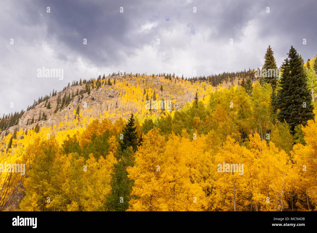 Blick aus dem Zug nach Durango und Silverton Schmalspurbahn in Colorado. Historische szenische Kohlekraftwerk Dampfmaschine Züge in der San Juan Berge. Stockfoto