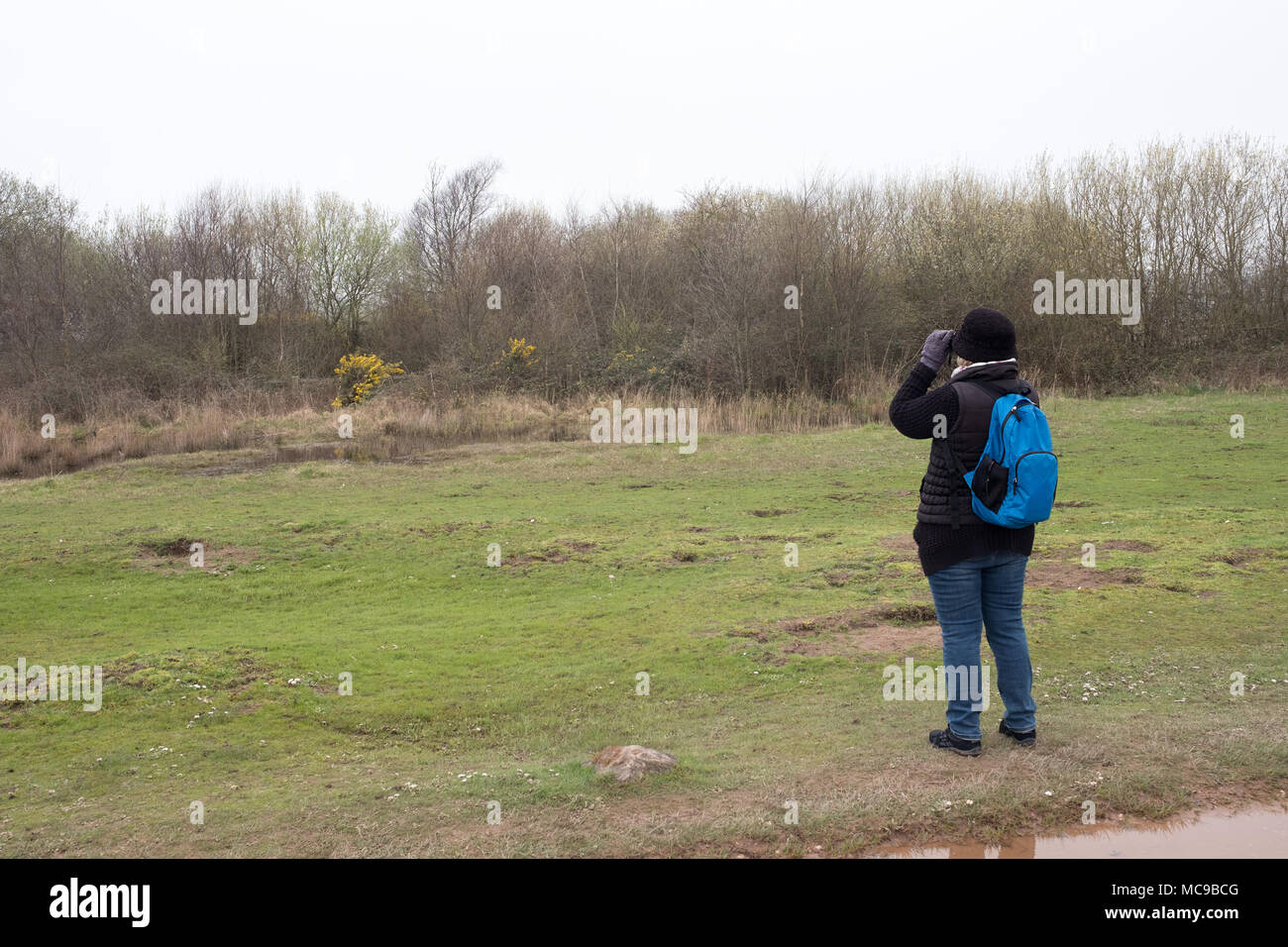 April 2018 - reife Frau, Vogelbeobachtung in einem Park Stockfoto