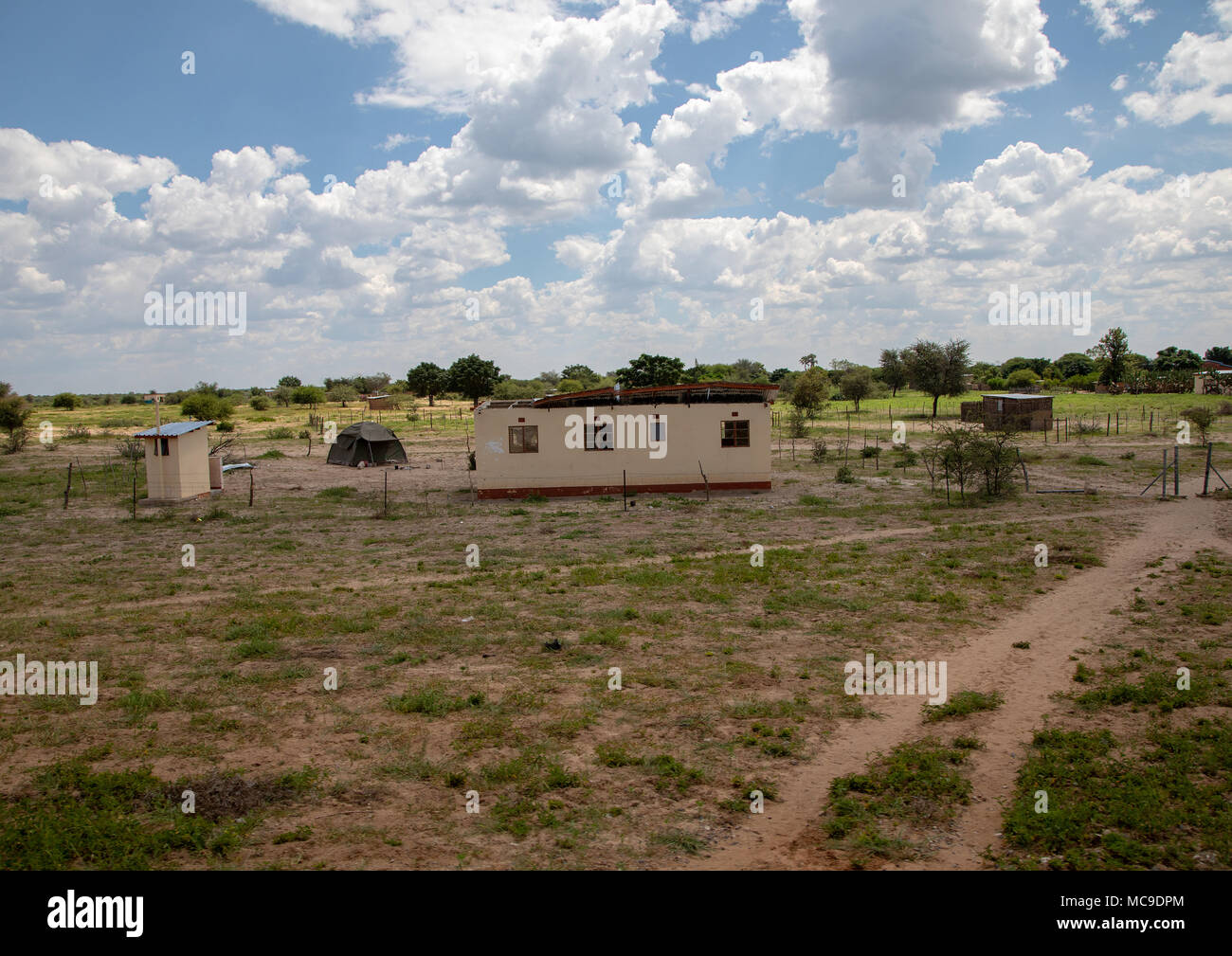 Landschaft der Region Ghanzi in Botswanischen im Sommer Stockfoto