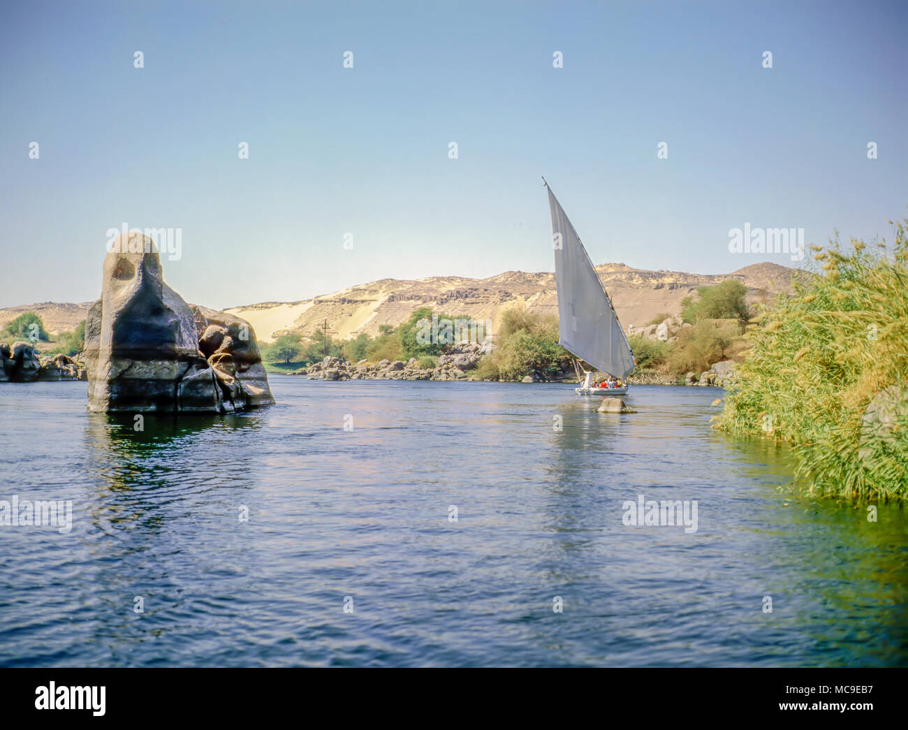 Elephant Island am Nil in Asuan, Ägypten Stockfoto