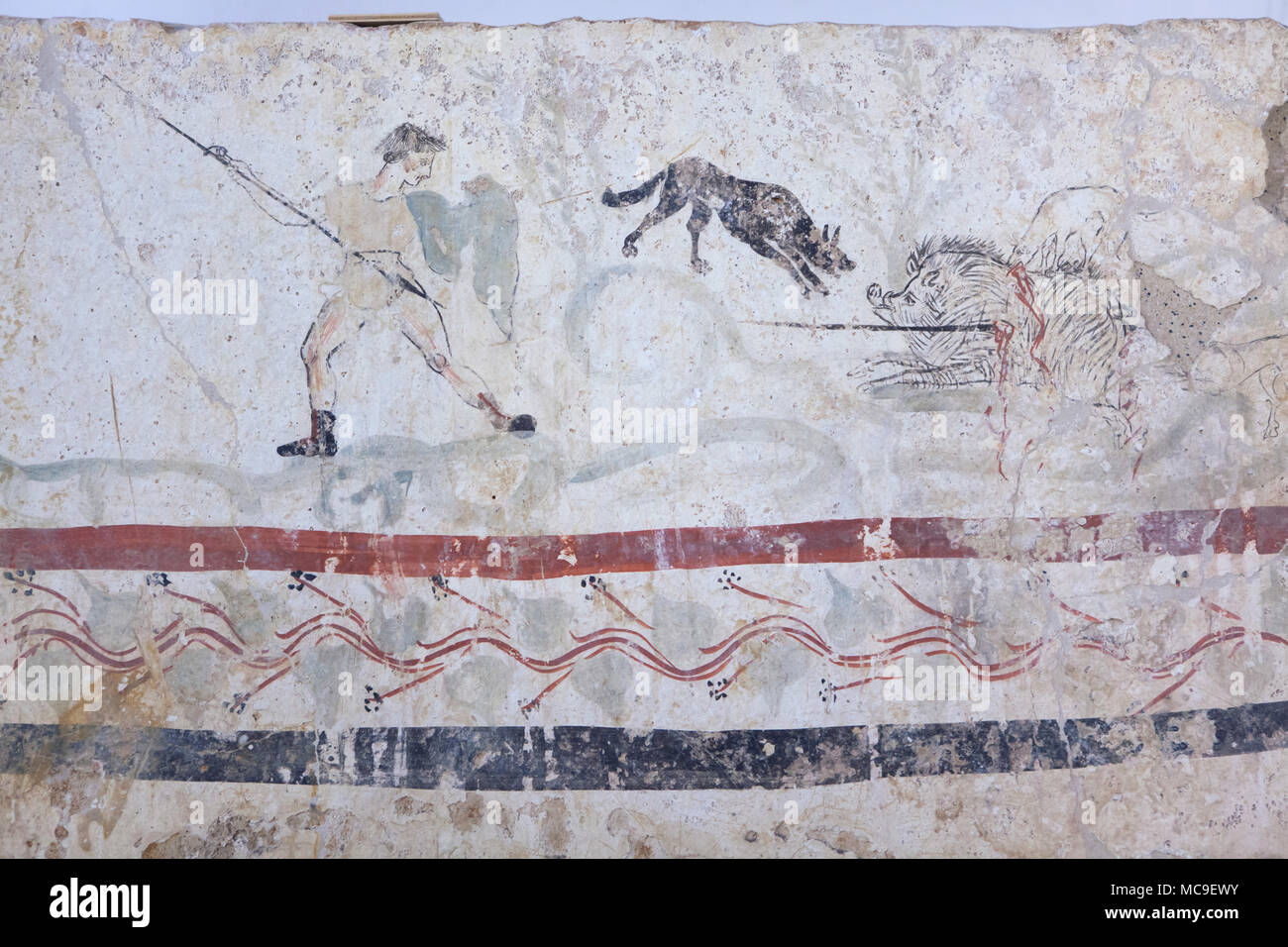 Wildschwein Jagd in den Lukanischen Fresko aus dem 4. vorchristlichen Jahrhundert dargestellt auf Anzeige im Paestum Archäologischen Museum (Museo Archeologico di Paestum) in Paestum, Kampanien, Italien. Stockfoto