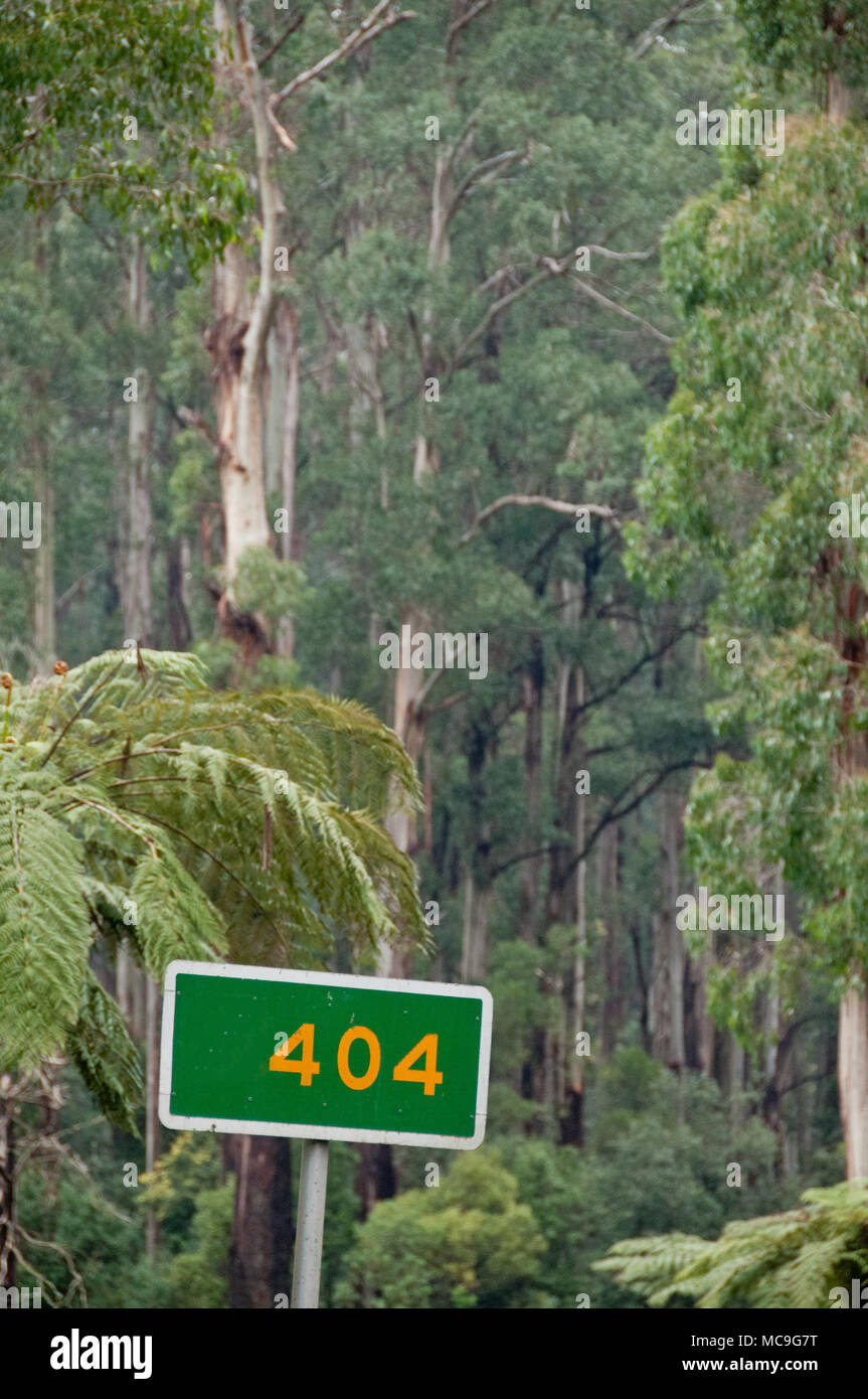 404 grünes Schild Banner in einem tiefen Wald. 404 ist eine Fehlermeldung im Internet, um anzuzeigen, dass der Client in der Lage war, mit einem bestimmten zu kommunizieren dienen Stockfoto