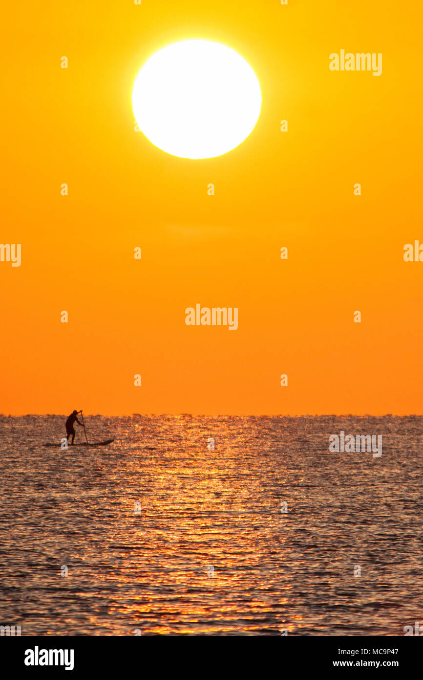 Ein Stand up Paddle boarder gegen die bunten am frühen Morgen Sonnenaufgang über Hollywood Beach silhouetted, Florida Stockfoto
