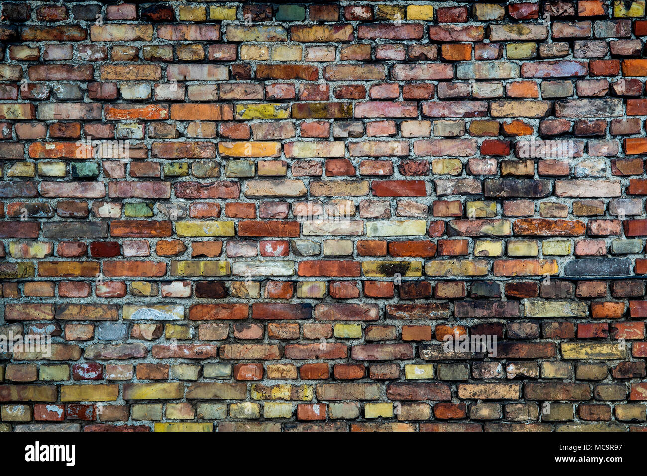 Alte verwüstet Zement Ziegel Wand Stockfoto