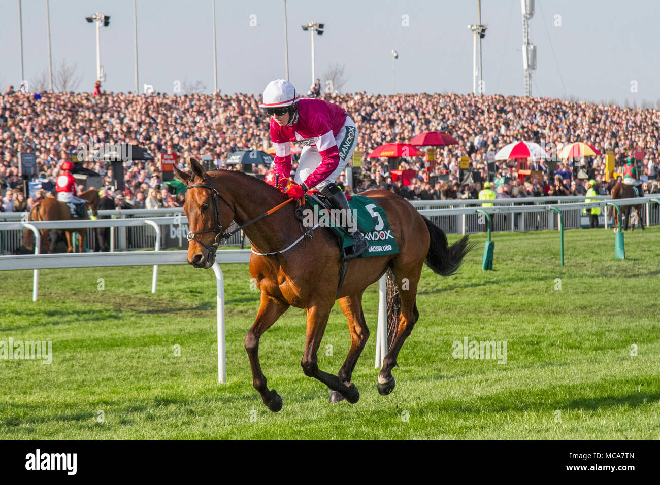 Grand National Horses galoppieren bis zur Startlinie. Große Menschenmengen in Liverpool, Merseyside, Großbritannien 7.. April 2016. Tribüne, Rennbahn, Sport, Pferd, Strecke, Rennen, Strecke, Rennstrecke, Stadion, Unterhaltung, Wettbewerb, Derby, Ride, Erfolg, Ansicht, Stadt, im Freien, Panorama, Architektur, Stand, Speed, Stakes, Heads of the Crowd beim Grand National Ladies First Day in Aintree. 5 VALSEUR LIDO mit Keith Donoghue. Stockfoto