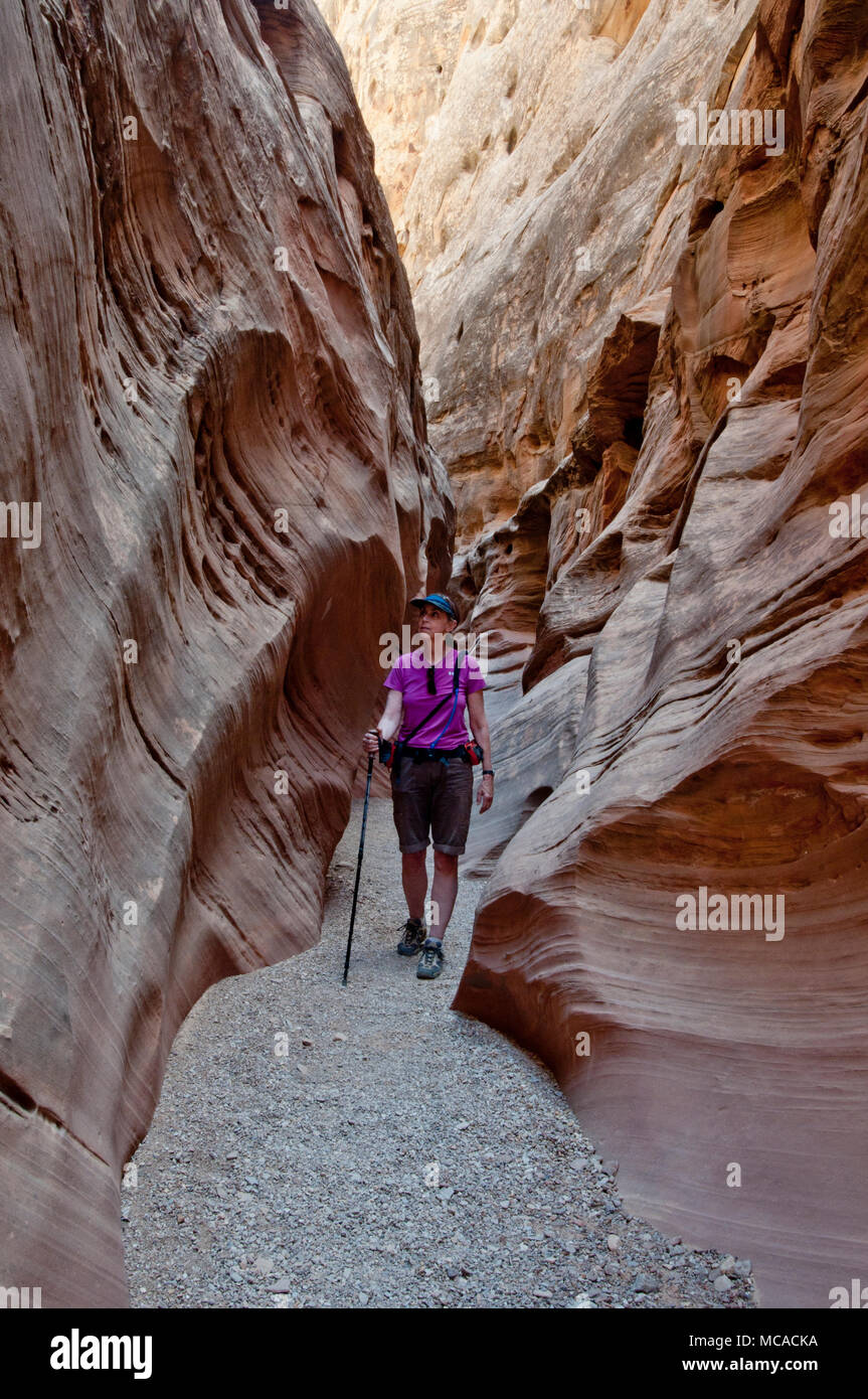 Frau wandern in kleinen Wildhorse Canyon der San Rafael Swell Utah (MR) Stockfoto