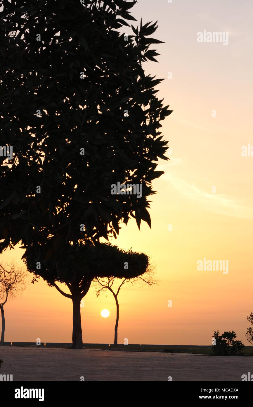 Sunrise und Schatten Stockfoto