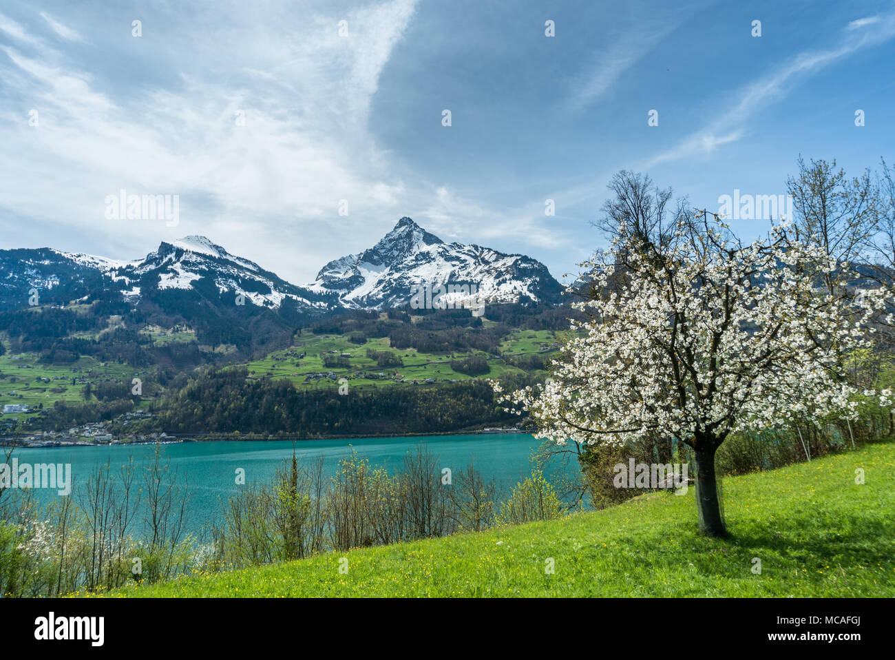 Wundervolle Frühling Blick auf Berge und See mit blühenden Obstbaum Stockfoto