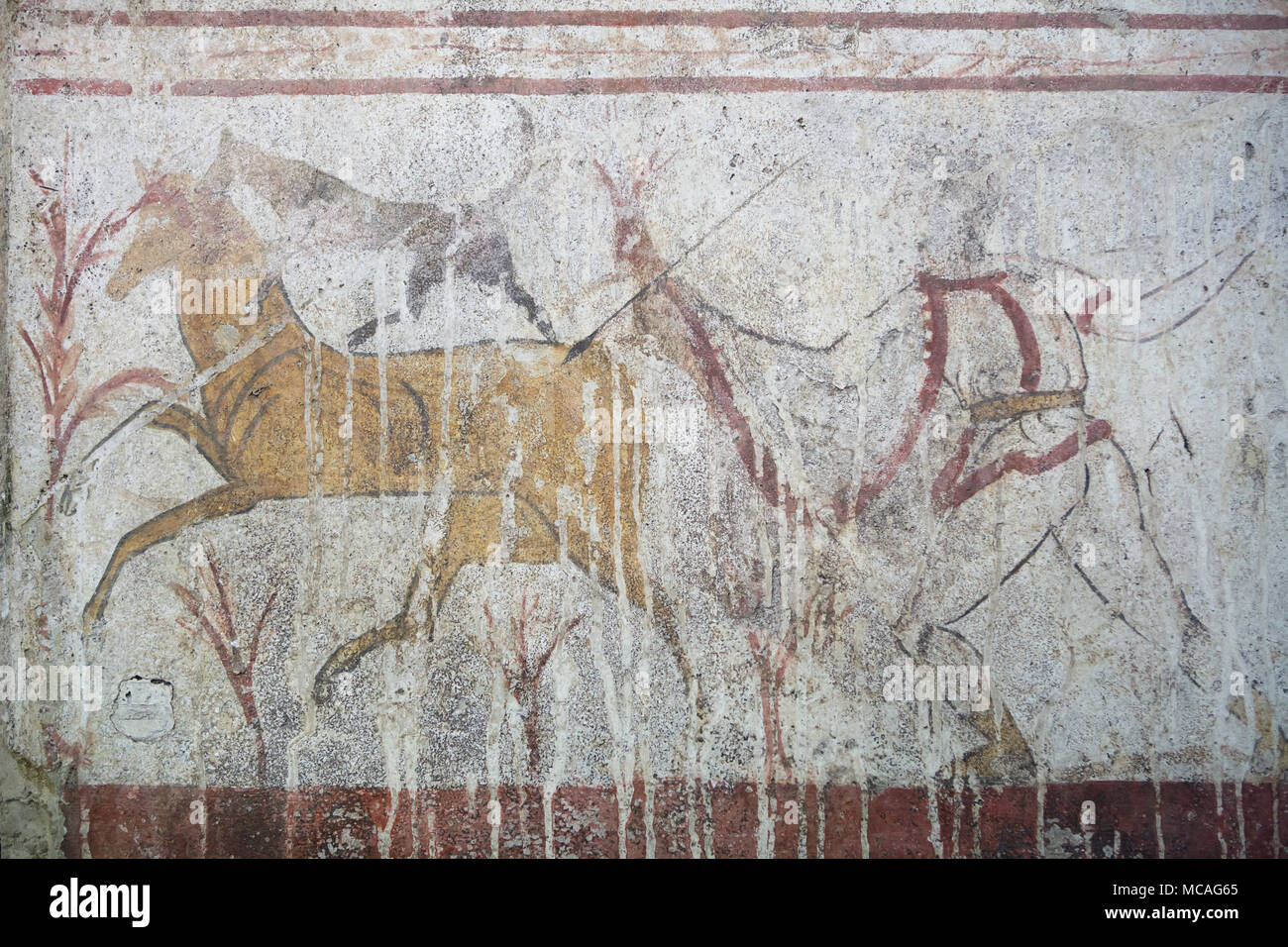 Jagd in der Lukanischen Fresko von 370-360 v. Chr. dargestellt aus dem Grab 1 des Gaudo Nekropole auf Anzeige im Paestum Archäologischen Museum (Museo Archeologico di Paestum) in Paestum, Kampanien, Italien. Stockfoto