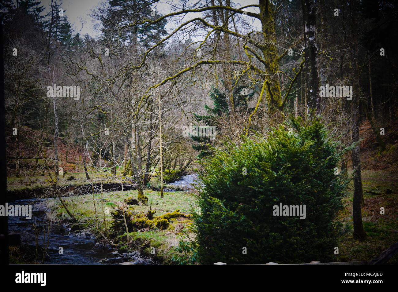 Running River Stockfoto