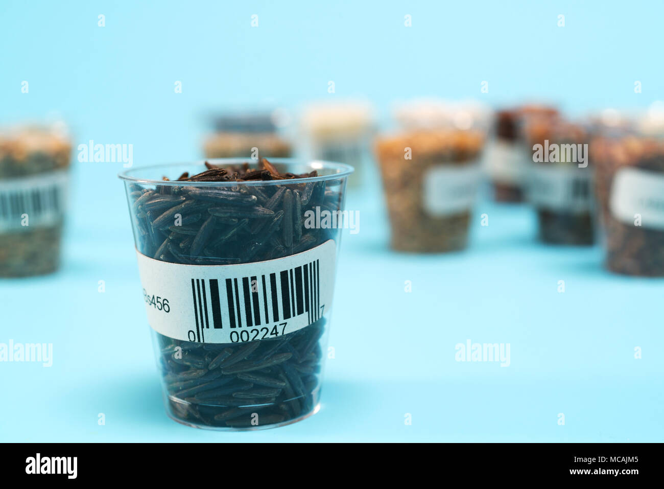 Saatgut für landwirtschaftliche Pflanzen im Reagenzglas mit Barcodes im Labor Stockfoto
