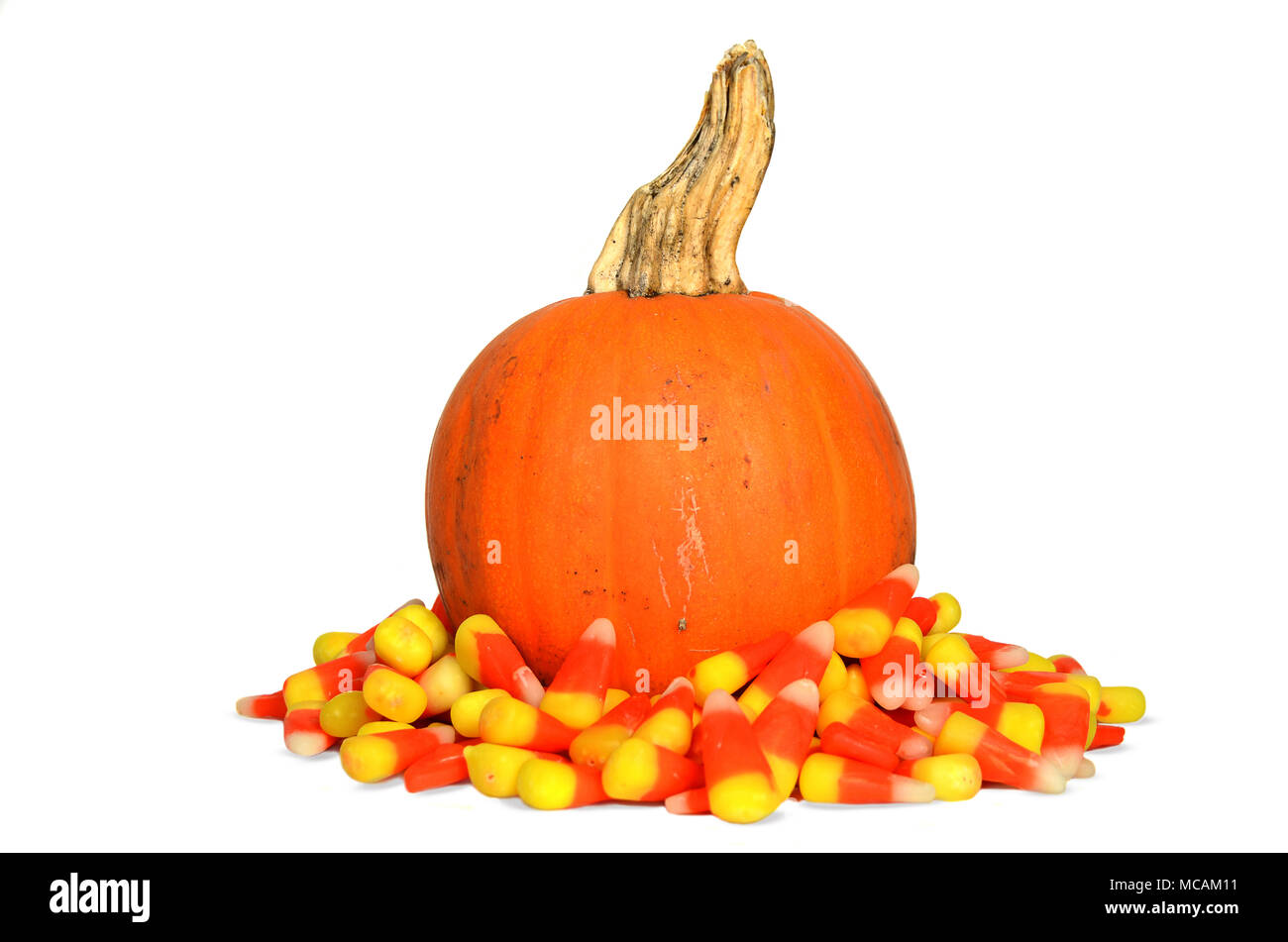 Orange Kürbis in einem Haufen von Candy corn isoliert auf weißem Stockfoto
