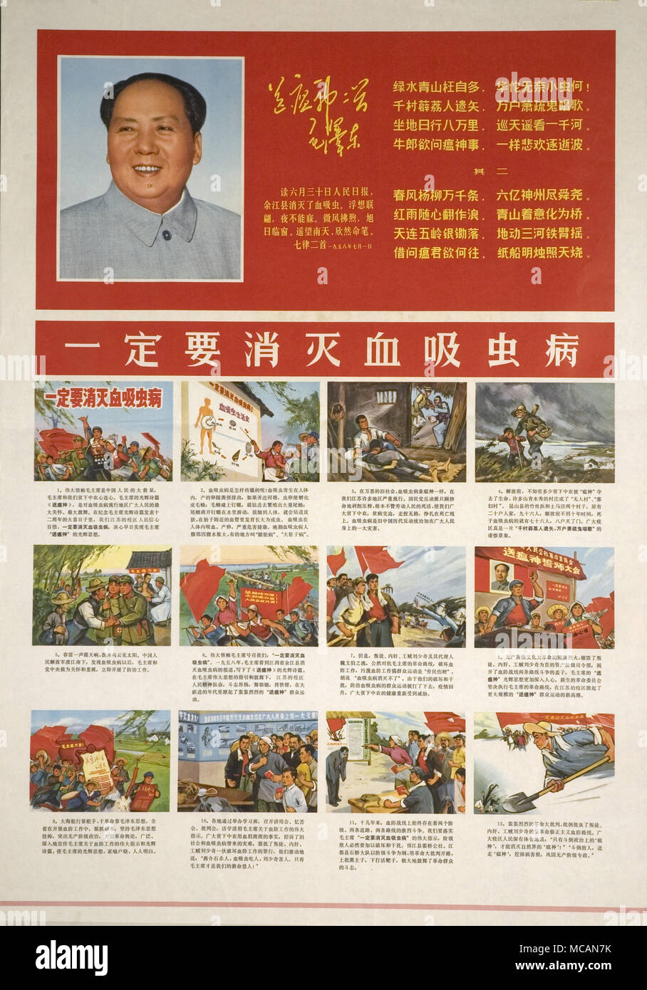 Portrait von Mao Zedong Zeichnungen vergleichen Bilharziose zu Maos Einsprüche, die eine Sprühbehinderung für proletarische Regel und muss für das Wohlergehen der revolutionären Massen beseitigt werden. Stockfoto