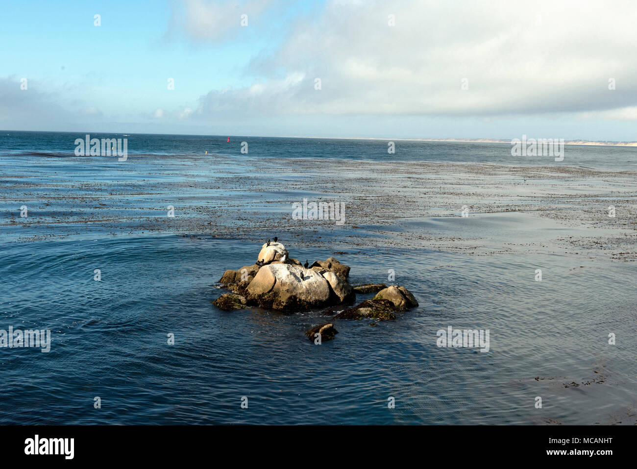 Monterey Bay, einer Bucht des Pazifischen Ozeans entlang der Küste von Kalifornien Stockfoto
