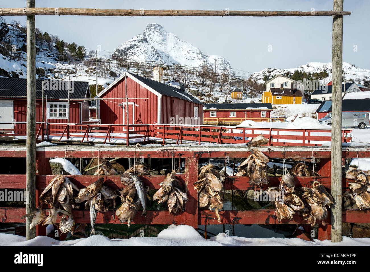 Fisch Trockenständer in Nusfjord, Lofoten, Norwegen Stockfoto