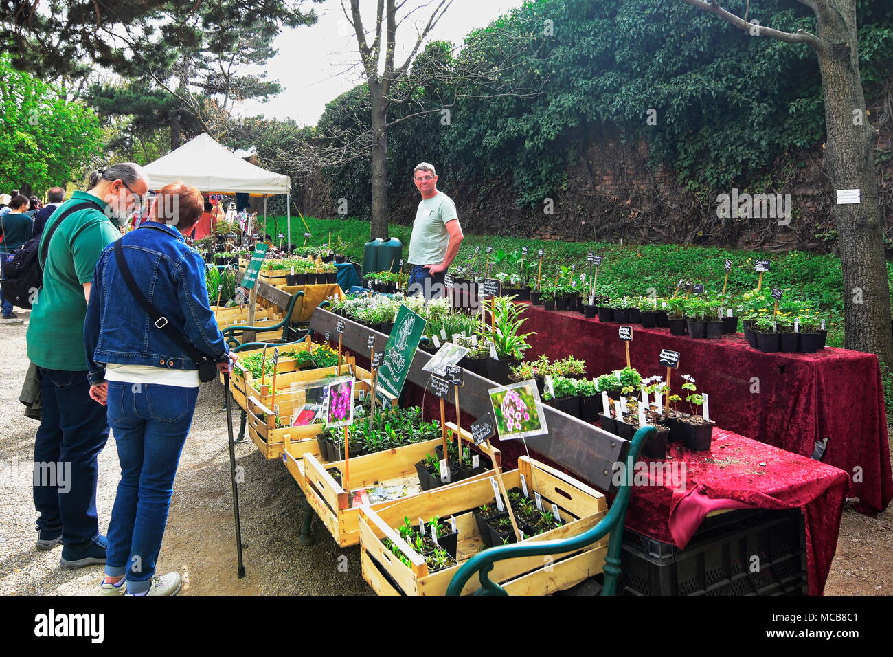 Wien, Österreich, 15. April 2018. Die Anlage fair ist eines der beliebtesten Garten Märkte Österreich. Es wurde vor 15 Jahren gegründet und nimmt im Botanischen Garten der Universität Wien in jedem Frühjahr statt. Bild zeigt den Besuchern und Kunden bummeln und einkaufen. Quelle: Franz Perc/Alamy leben Nachrichten Stockfoto