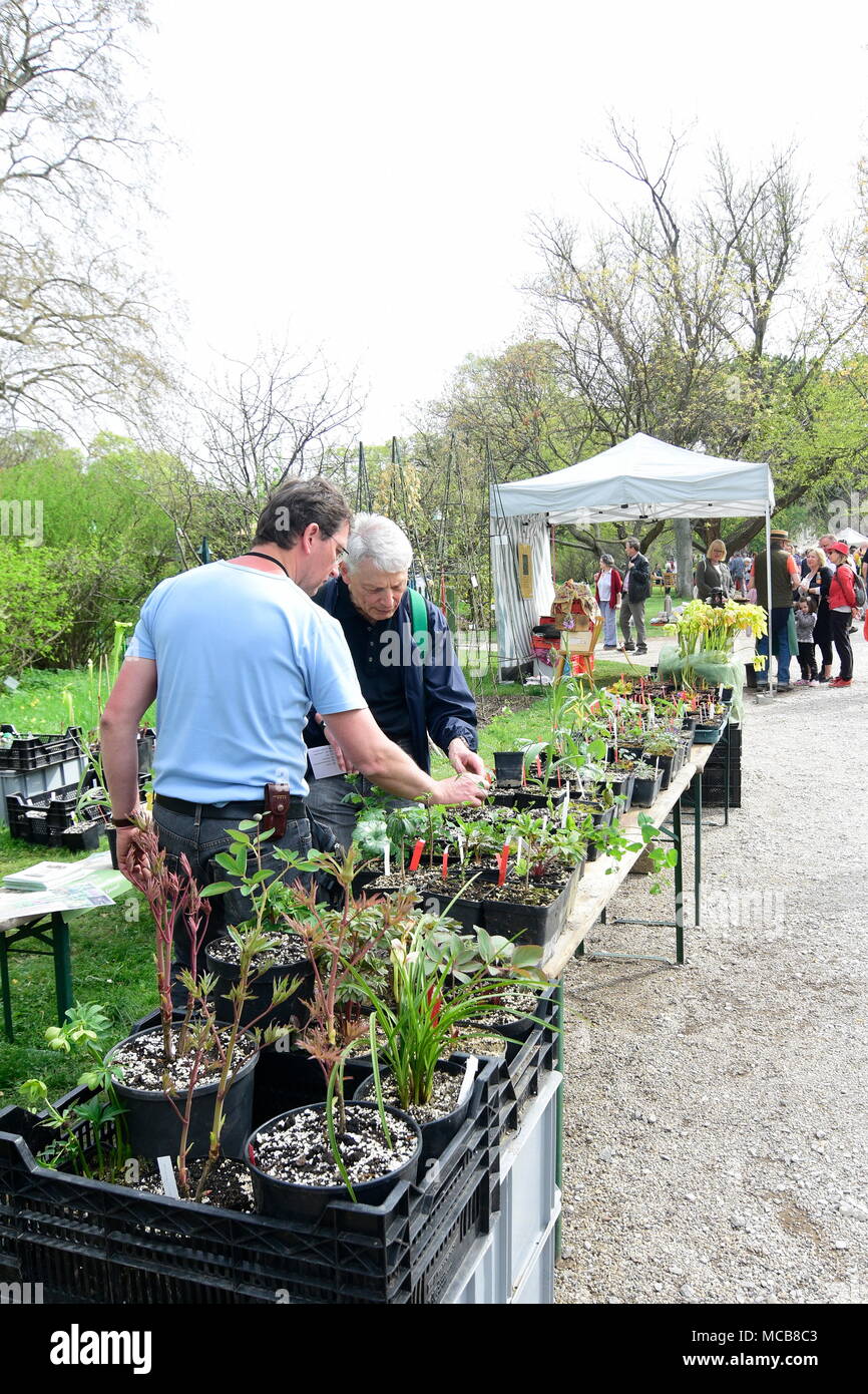 Wien, Österreich, 15. April 2018. Die Anlage fair ist eines der beliebtesten Garten Märkte Österreich. Es wurde vor 15 Jahren gegründet und nimmt im Botanischen Garten der Universität Wien in jedem Frühjahr statt. Bild zeigt den Besuchern und Kunden bummeln und einkaufen. Quelle: Franz Perc/Alamy leben Nachrichten Stockfoto