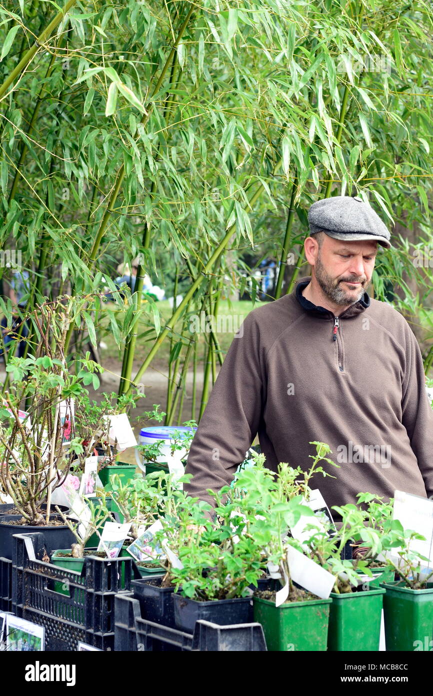 Wien, Österreich, 15. April 2018. Die Anlage fair ist eines der beliebtesten Garten Märkte Österreich. Es wurde vor 15 Jahren gegründet und nimmt im Botanischen Garten der Universität Wien in jedem Frühjahr statt. Bild zeigt eine der Gärtner. Quelle: Franz Perc/Alamy leben Nachrichten Stockfoto