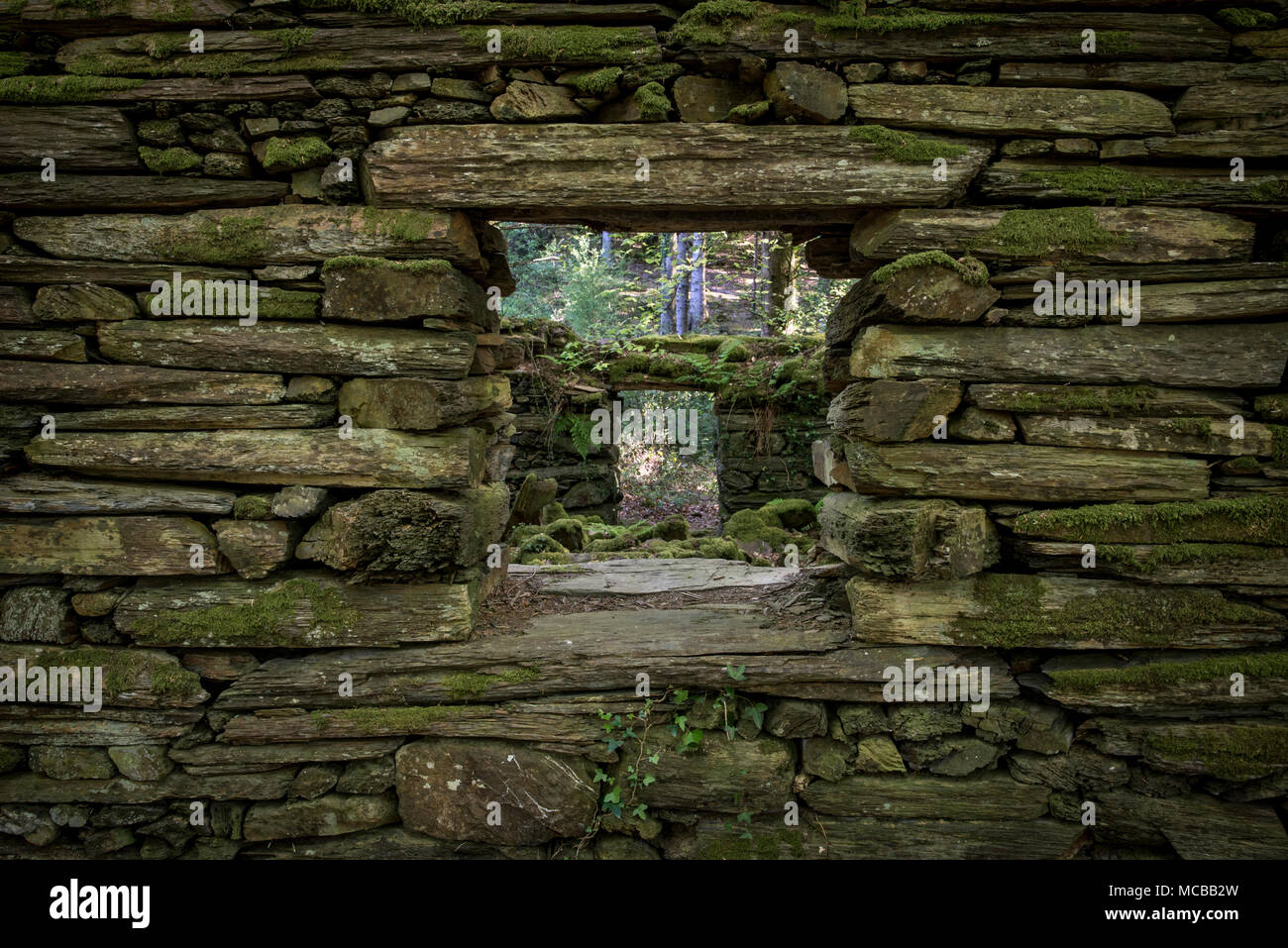 Alte Stein auf Coed Cae Fali in der Nähe von Penrhyndeudraeth, Snowdonia, North Wales, UK ruinieren. Stockfoto