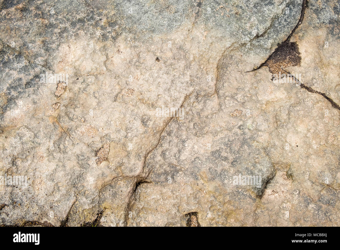 Stein Textur. Oberfläche der gritstone auf Kinder Scout, Derbyshire, Peak District, England, Großbritannien Stockfoto