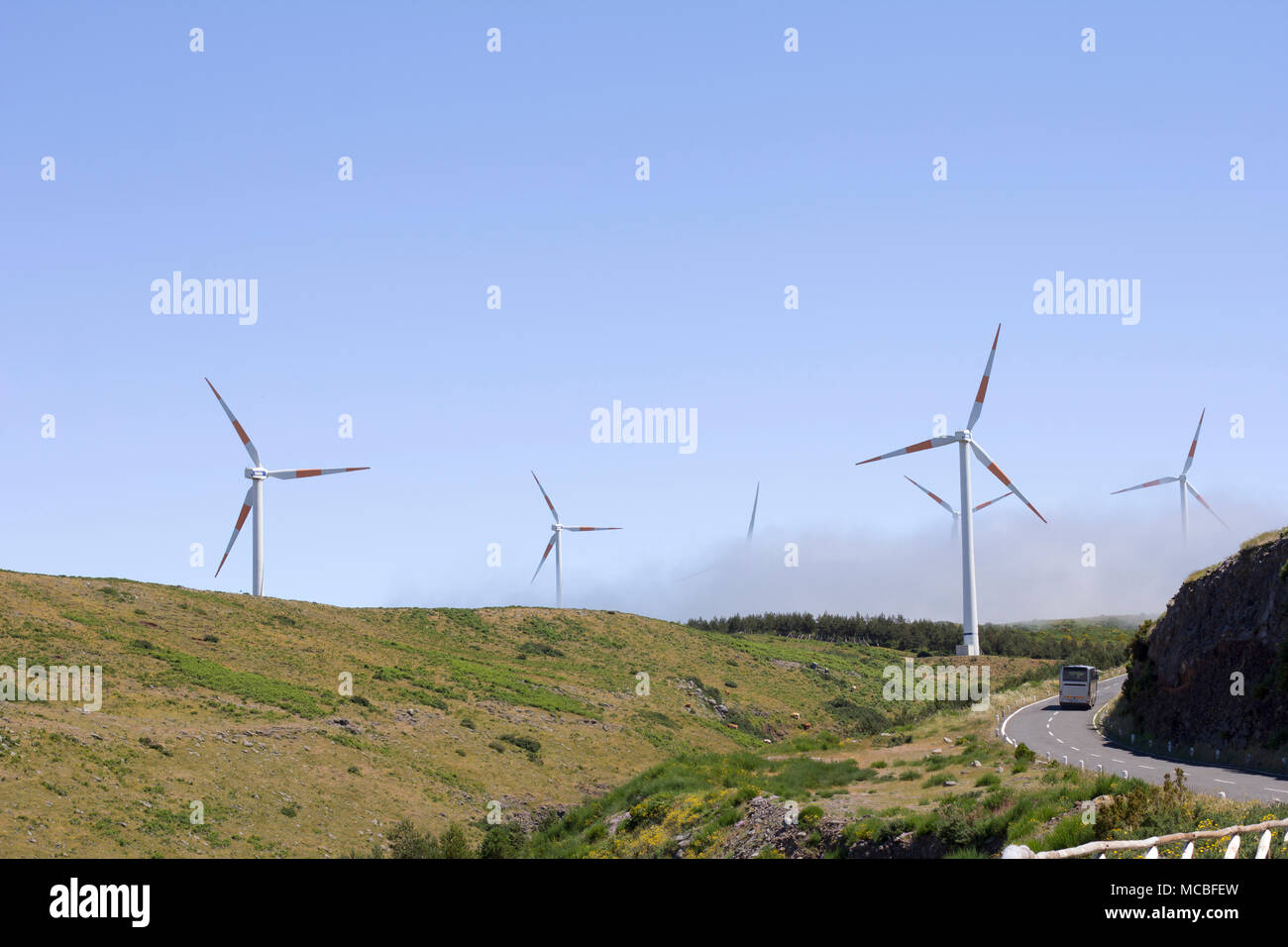 Windmühlen. Paul da Serra. Madeira. Stockfoto
