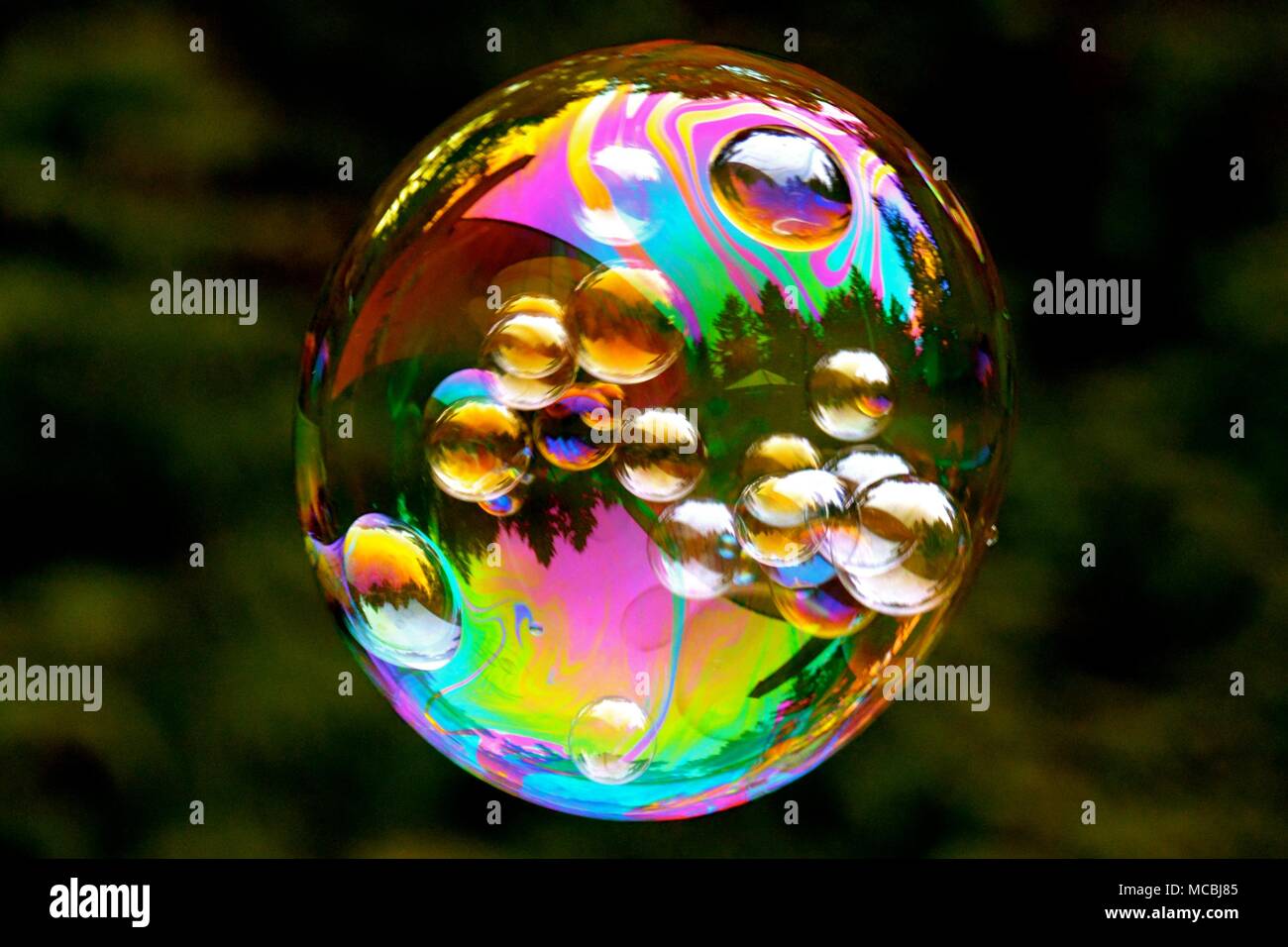Bubblicious Galiano Island, BC, 17. März 2018 Stockfoto