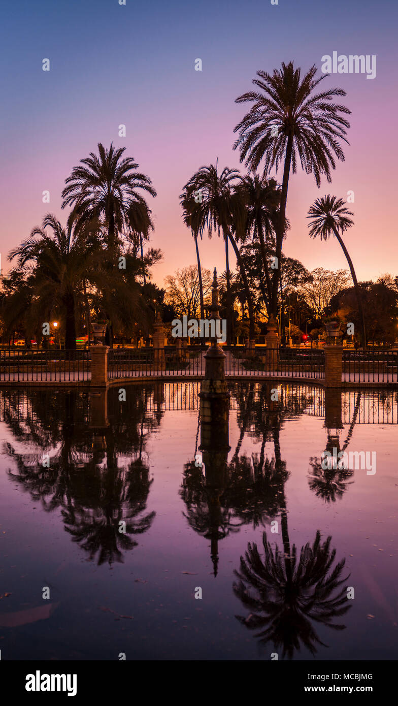 Palmen sind in einem Brunnen, Afterglow, Plaza de America, Sevilla, Andalusien, Spanien wider Stockfoto