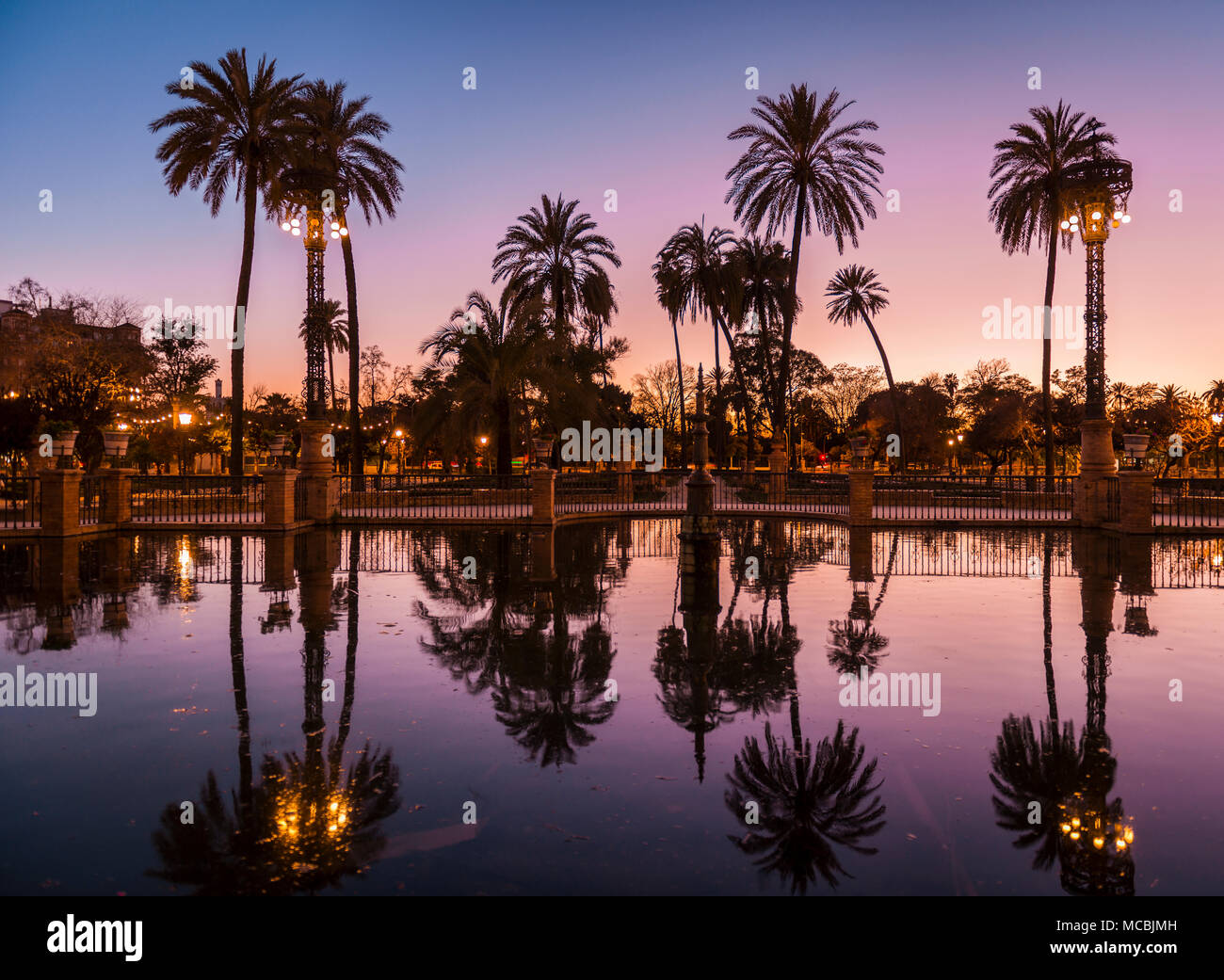 Palmen sind in einem Brunnen, Afterglow, Plaza de America, Sevilla, Andalusien, Spanien wider Stockfoto