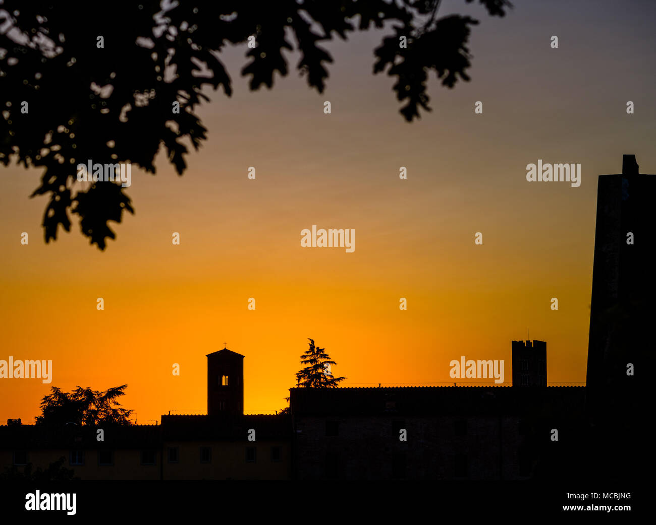 Sonnenuntergang über der Silhouette Gebäude in der mittelalterlichen Stadtmauer von Lucca, Italien (Toscana) Stockfoto