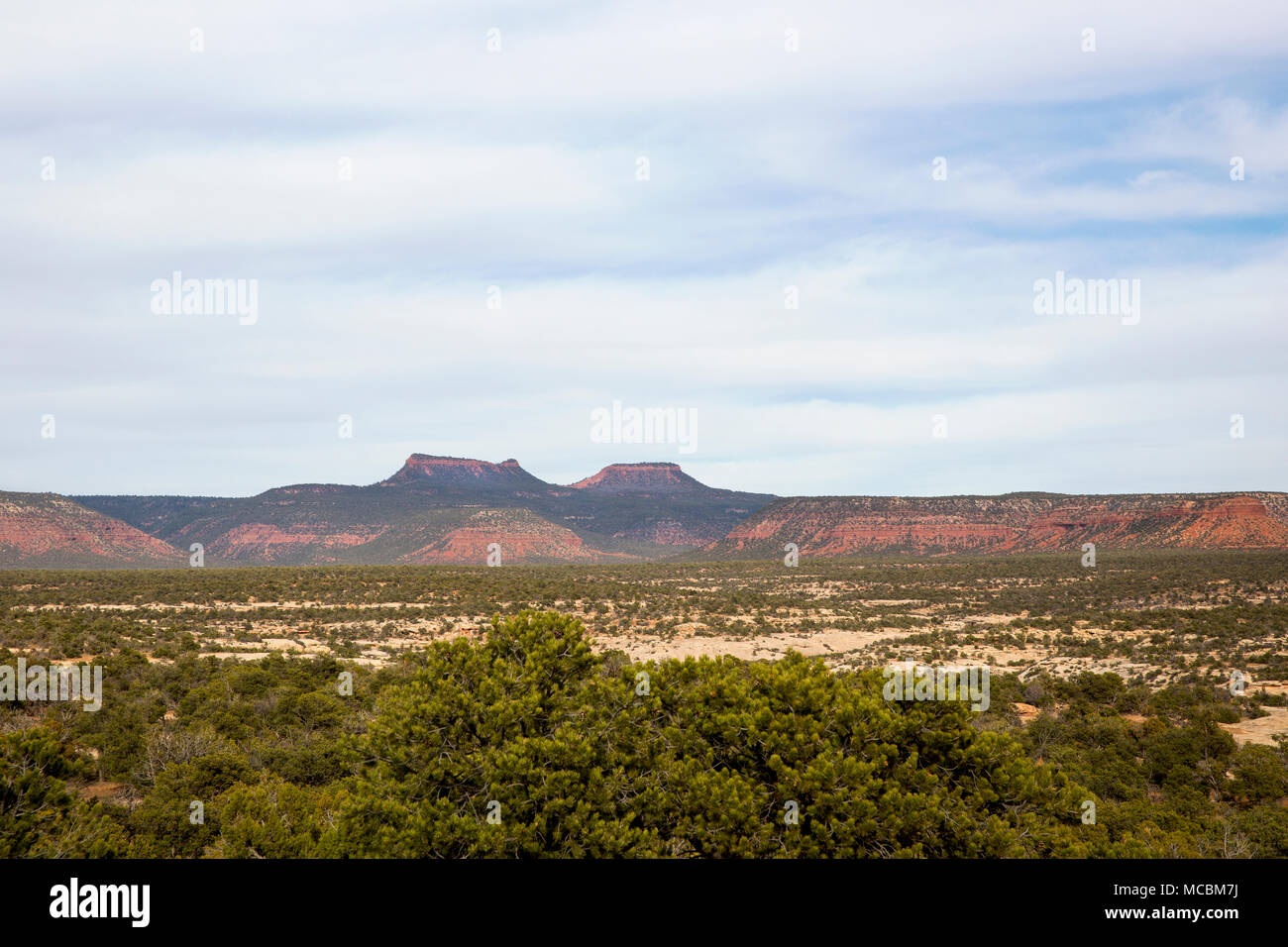 Bären Ohren Buttes im Bären Ohren National Monument im südlichen Utah, United States Stockfoto
