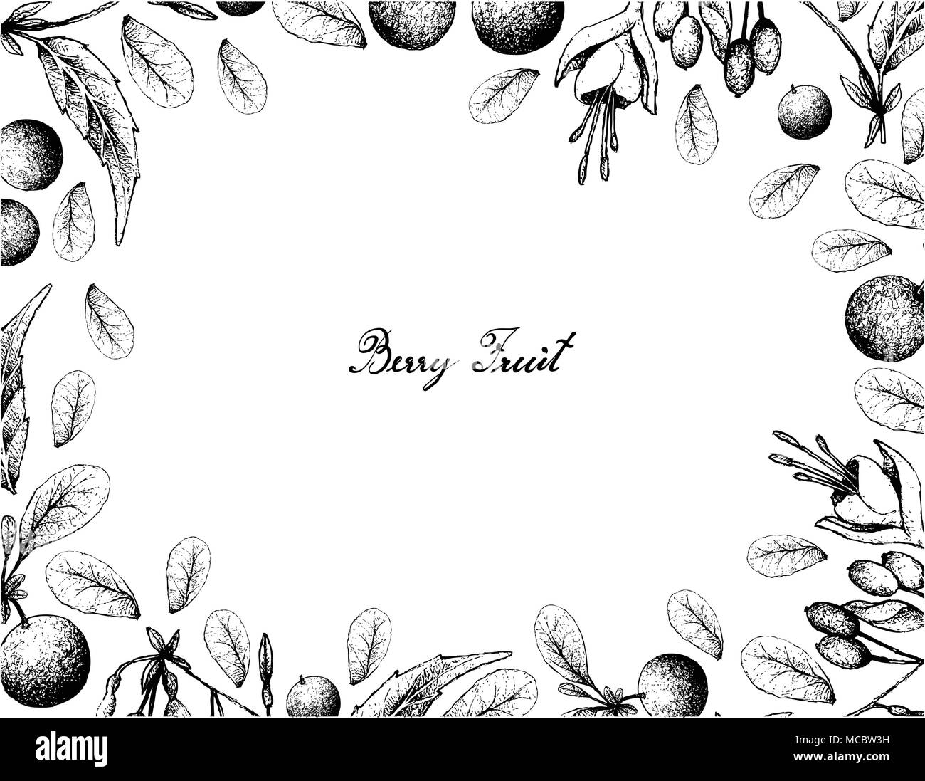 Beerenfrucht, Illustration von Hand gezeichnete Skizze von Bog Heidelbeere oder Vaccinium Uiginosum und Bandolero de Princesa oder Fuchsia Regia Früchte isoliert auf Stock Vektor