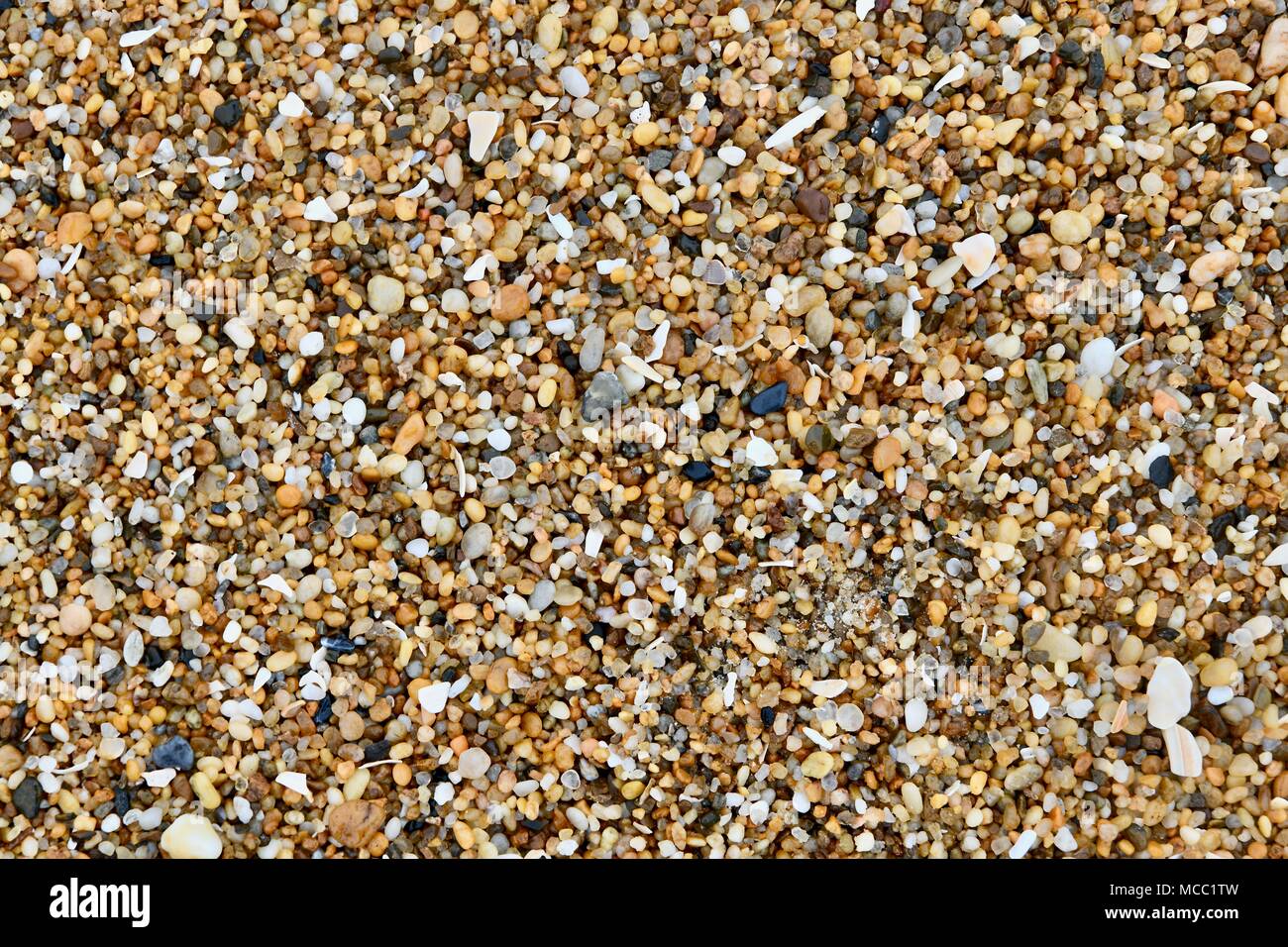 Bunte Kieselsteine am öffentlichen Strand am Cape Henlopen State Park, Maryland, USA Stockfoto