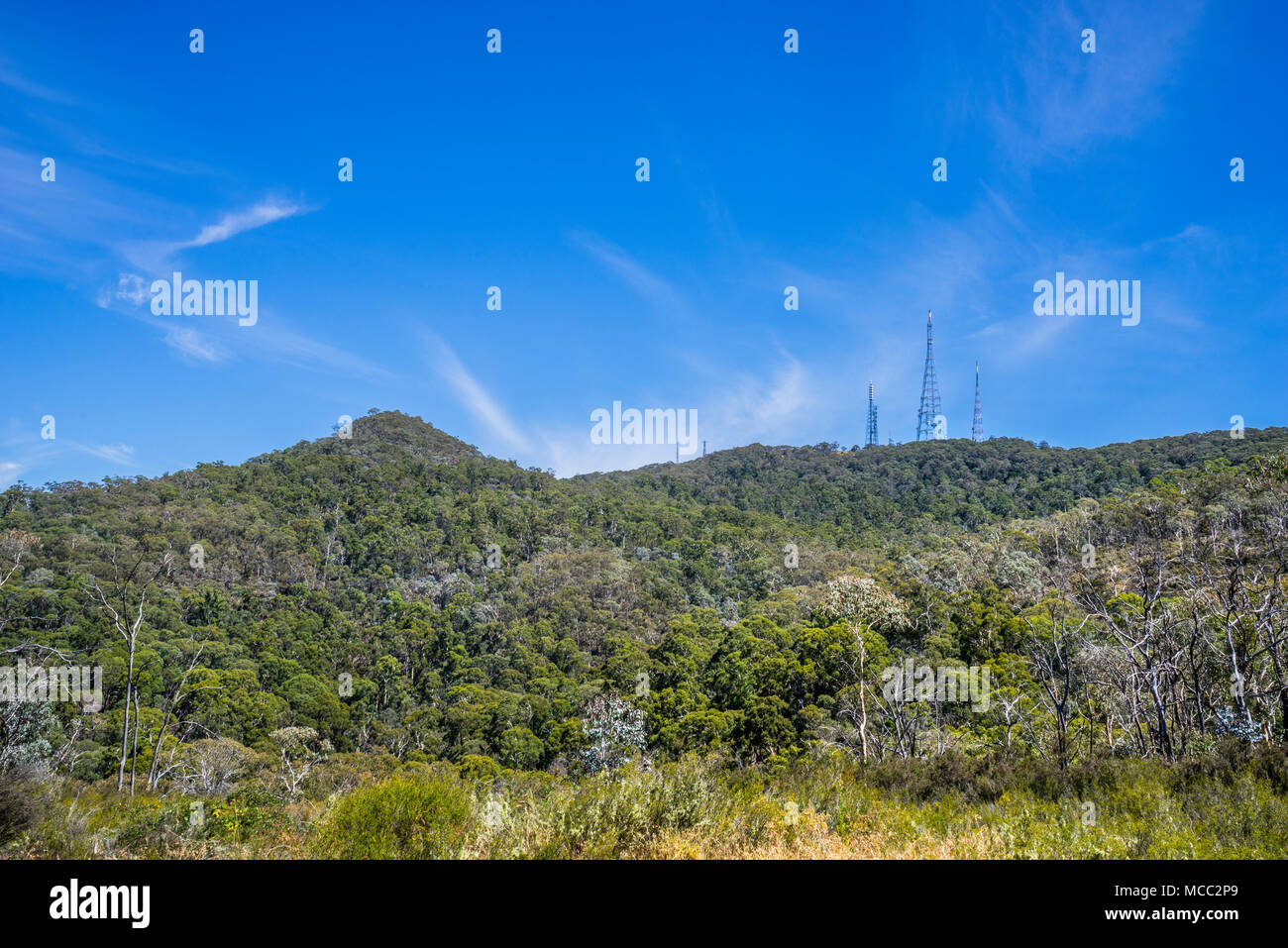 Sendemasten auf dem Gipfel des 1.390 m Mount Canobolas, ein Berg auf einem Sporn der Great Dividing Range in der Zentralen Tablelands Region New Stockfoto