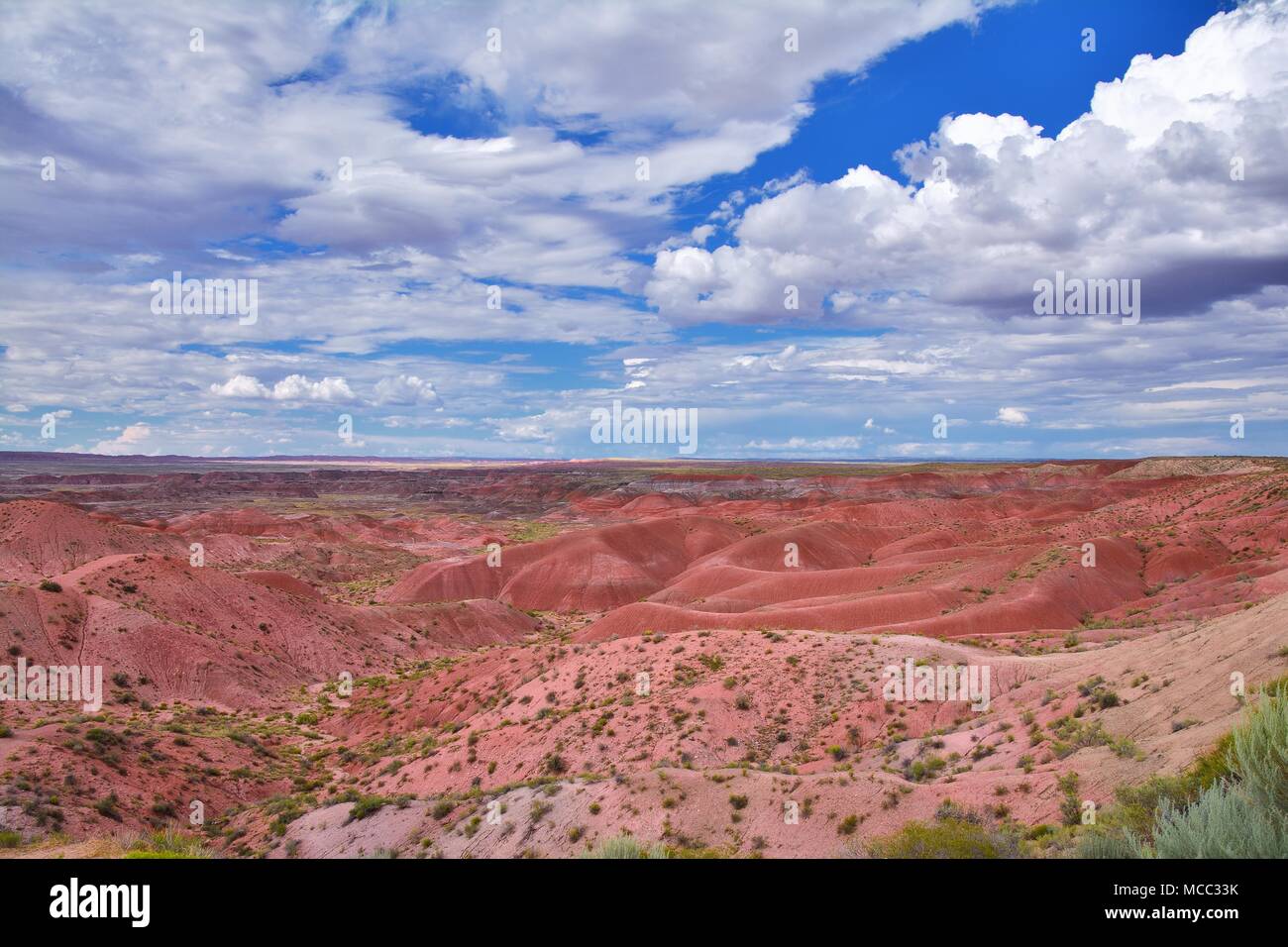 Art Painted Desert, Petrified Forest National Park, Arizona, USA Stockfoto