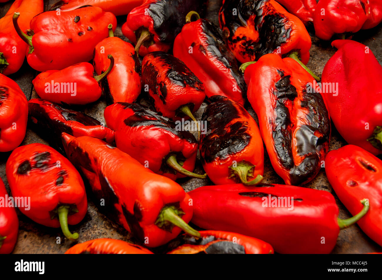 Mehrere rote Paprika Rösten auf dem Herd in Ajvar gedreht werden, eine leckere Auswahl beliebter auf dem Balkan. Stockfoto