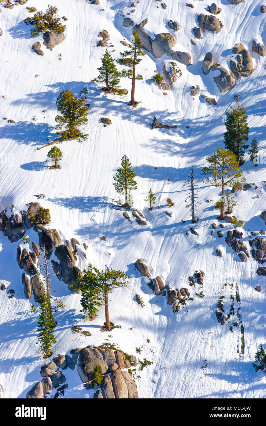 Eine der Pisten in Squaw Valley, Kalifornien, für diejenigen, die gerne extreme Skifahren zwischen Felsen und Bäumen. Stockfoto