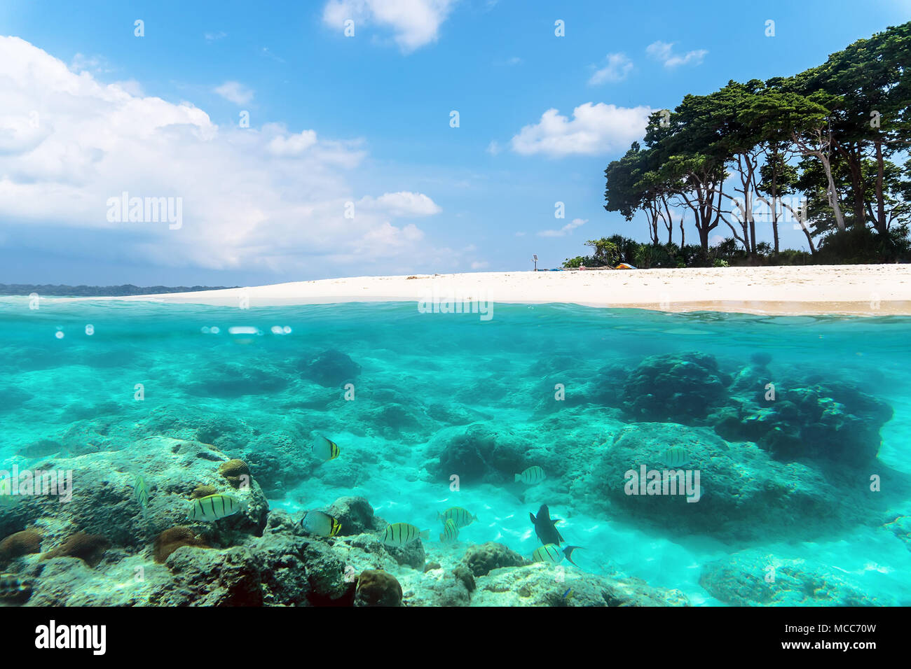 Über und unter der Meeresoberfläche Split Image in der Nähe von eine tropische Insel mit Sandstrand und bunte Unterwasserwelt mit tropischen Fischen unter Wasser. Andaman und Nic Stockfoto
