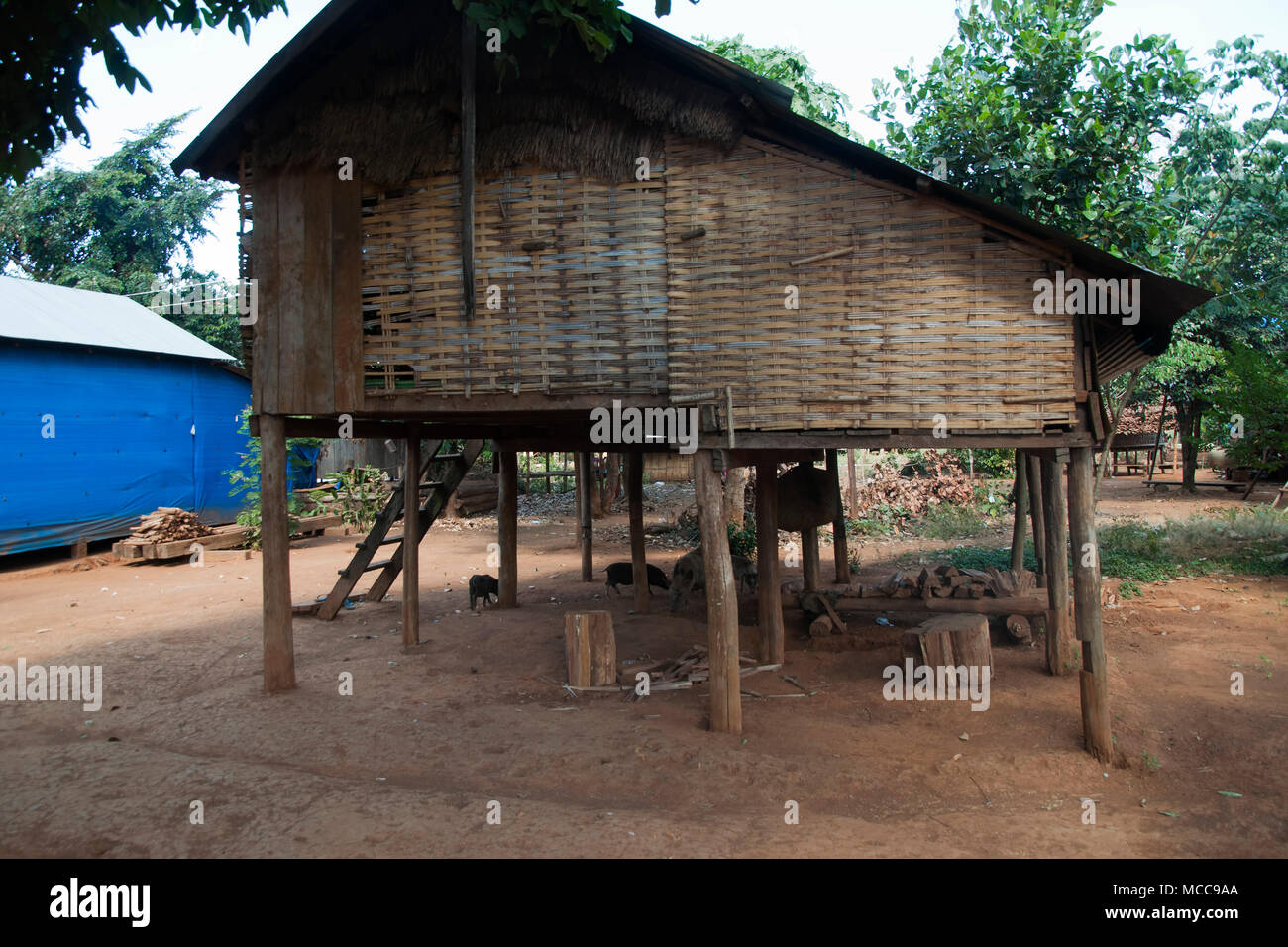 Ratanakiri Province Kambodscha, Haus aus lokalen Materialien in ethnischen gemacht Stockfoto