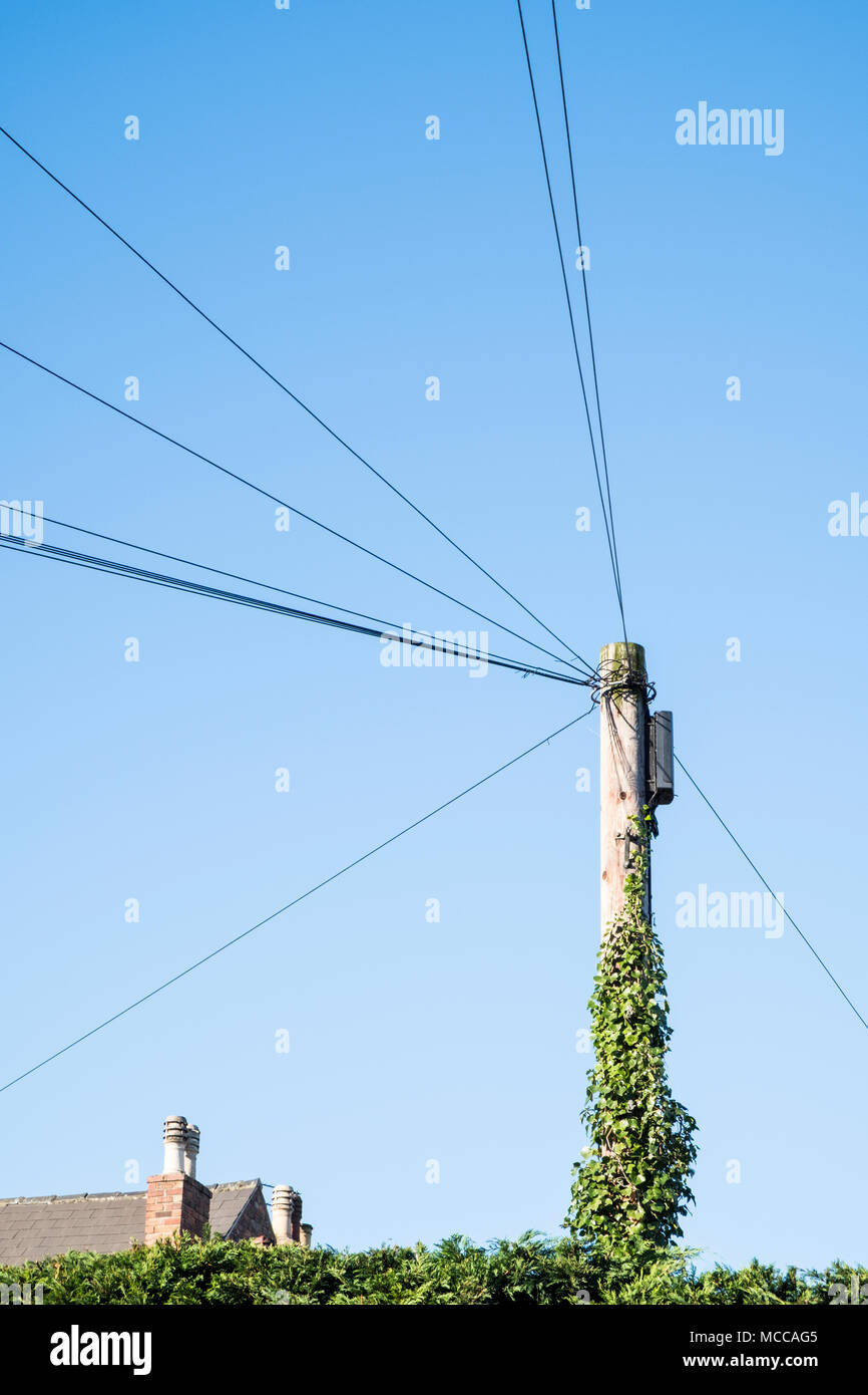Telefon kabel Spanning aus einem hölzernen Gebrauchspfosten mit Efeu bis sie wächst, Nottinghamshire, England, Großbritannien Stockfoto
