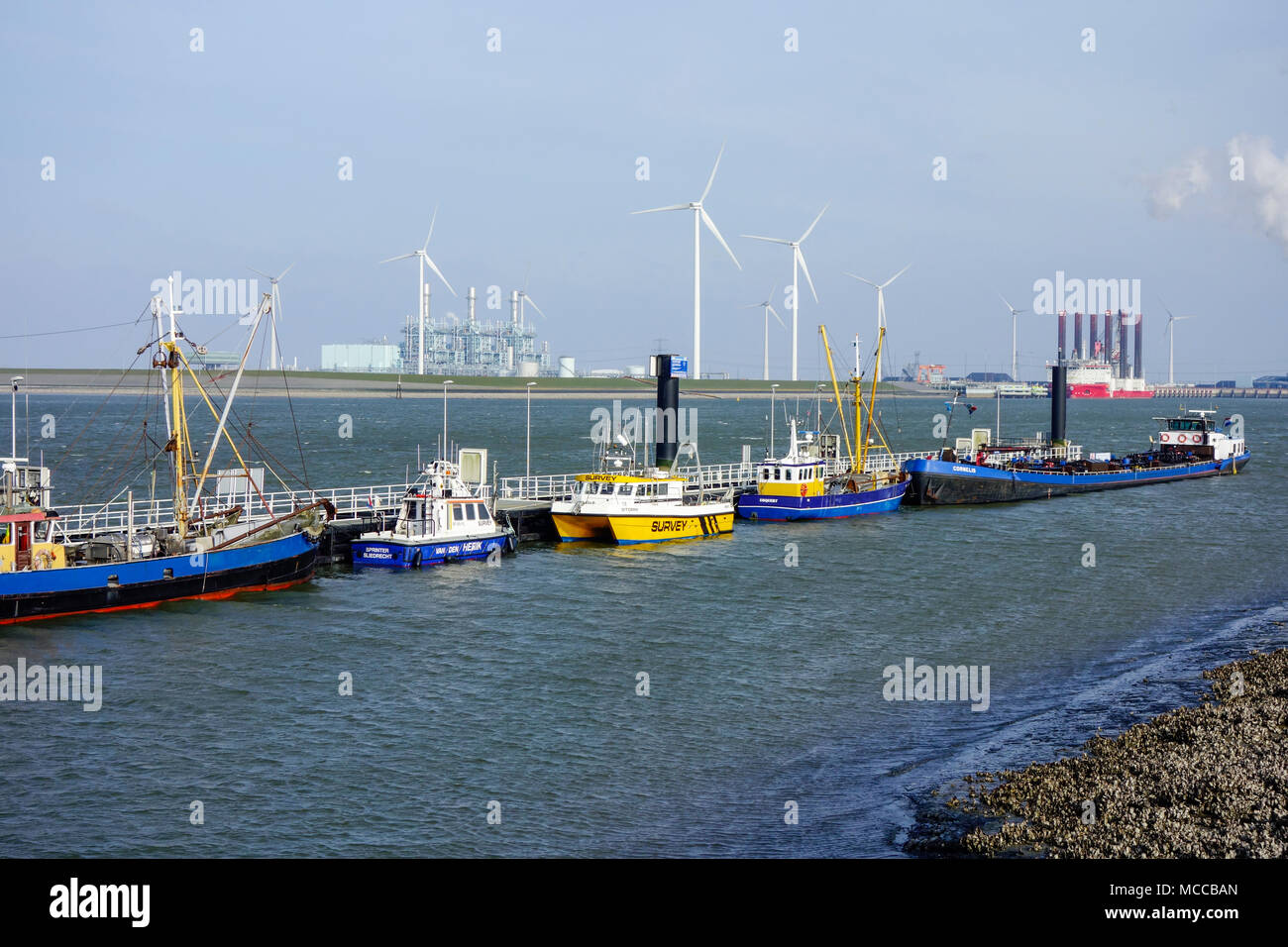 Windpark Westereems, Eemshaven, Niederlande Stockfoto