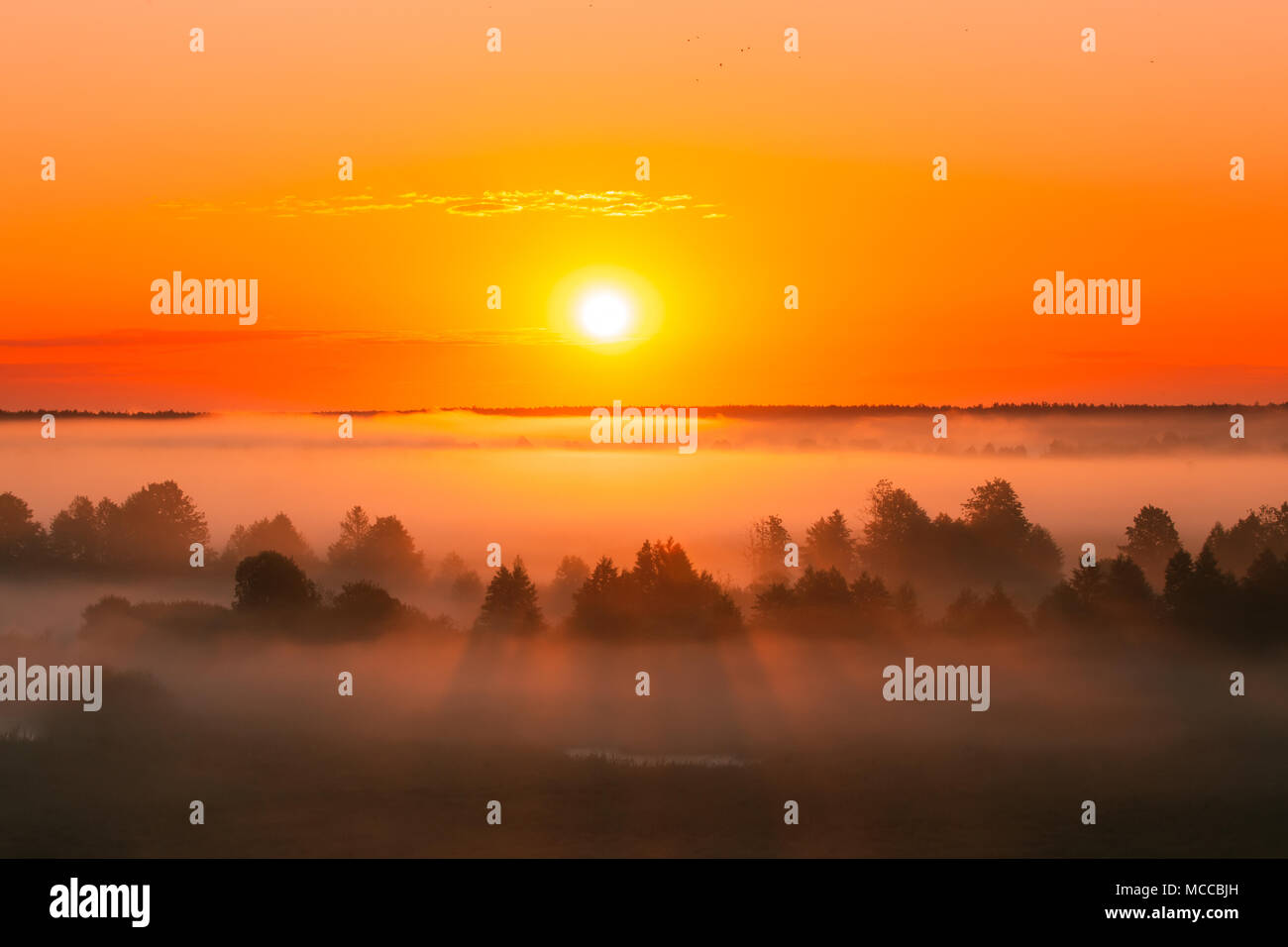 Erstaunlich Sonnenaufgang über neblige Landschaft. Malerischer Blick auf Nebligen Morgen Sky mit der aufgehenden Sonne über dem nebligen Wald. Mitte Sommer Natur Europas. Stockfoto