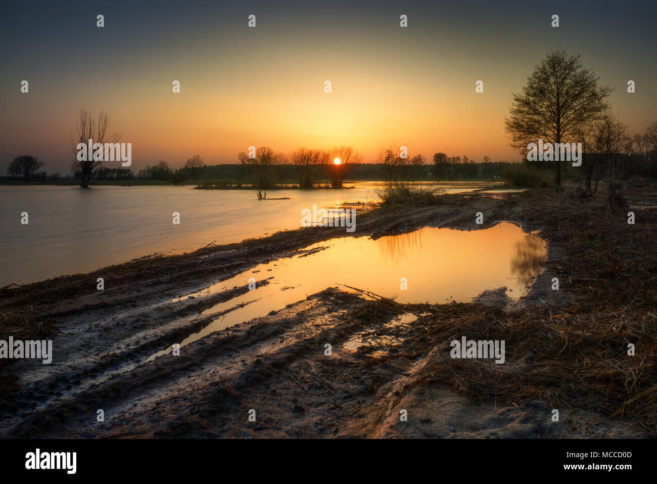 Überflutete Straßen und Bäume am Bug Fluss im Abendlicht, Polen Stockfoto