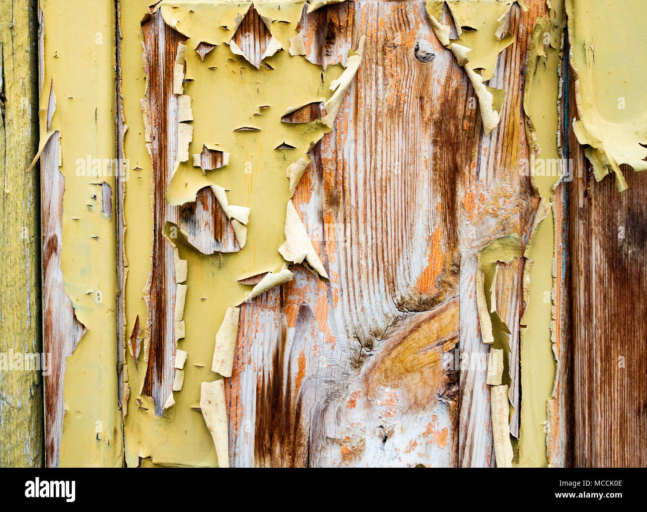 Abblättern/abblätternde Farbe auf alten, verwitterten hölzernen Tür. Geeignete fore strukturierten Hintergrund... Stockfoto