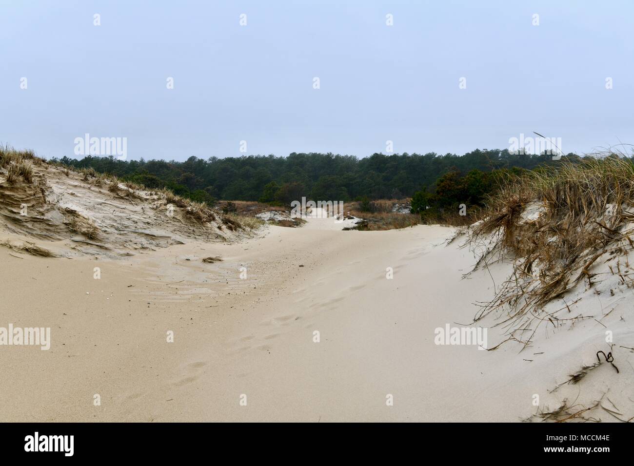 Sanddünen an entfernten Strand Lage auf der Cape Henlopen State Park in Maryland, USA Stockfoto