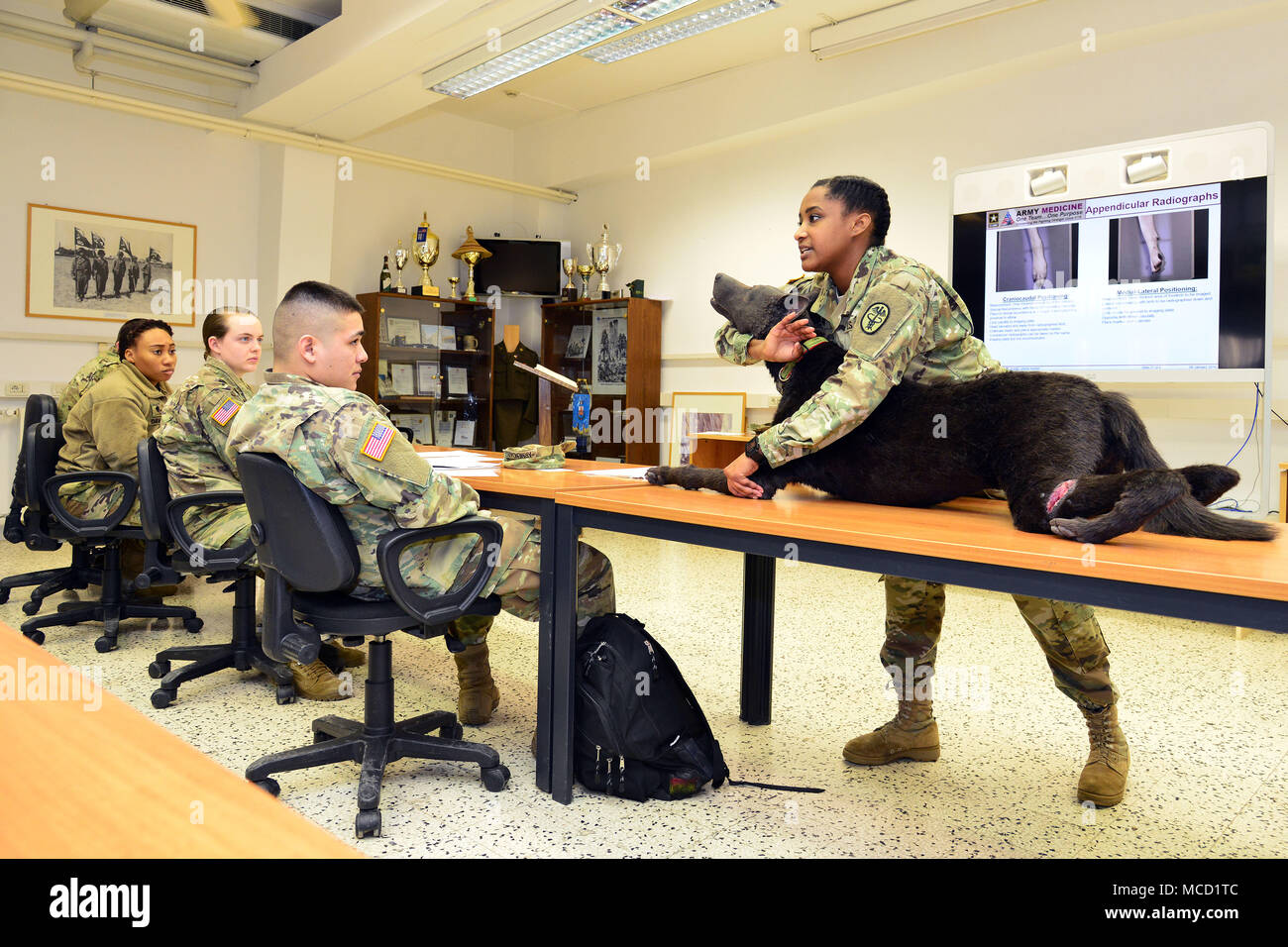 Us-Armee Sgt. Wordlaw Kabryna E., Tierpflege NCO von Air Force Base Feltwell in England, während eine Klasse für die diagnostische Bildgebung, während der Ausbildung im Bereich der öffentlichen Gesundheit Aktivität Italien Animal Care Spezialisten von Caserma Pluto, Longare, Vicenza, 12. Feb 2018. (U.S. Armee Foto von Paolo Bovo) Stockfoto