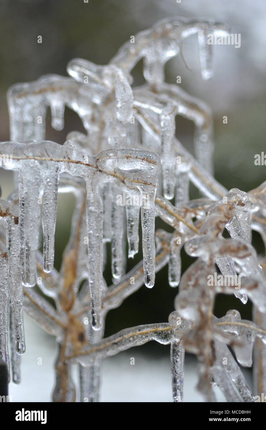 London, Ontario, Kanada - 15 April, 2018: Extreme Wetter schlägt im südlichen Ontario. Gefrierender Regen und starken Wind verursachen Stromausfälle, Straße Kollisionen und Schock für angehende Vegetation. Eisbedeckten Äste brechen unter schwerer Last des Eises. Ice Storm Schäden Stromleitungen verlassen Tausende ohne Strom. Stockfoto