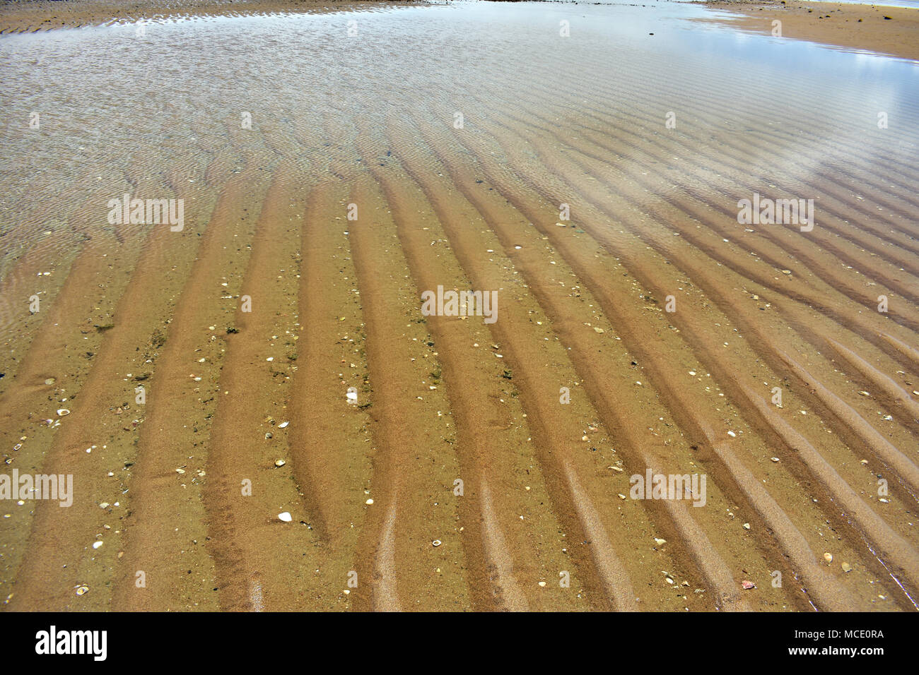 Reflexionen in den Sand. Stockfoto