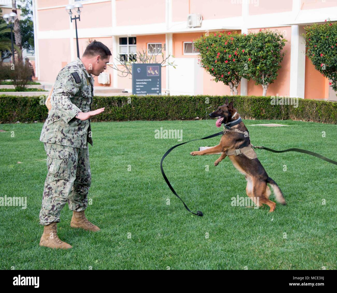 180228-N-UR 565-009 NAVAL SUPPORT ACTIVITY Souda Bay, Griechenland (Feb 28, 2018) Master-at-Arms 1. Klasse Casey Kaiwi führt Aggression Training mit militärischen Hund Diego onboard Naval Support Activity (NSA) Souda Bay 28. Februar 2018. NSA Souda Bay ermöglicht den Betrieb und die Reaktionsfähigkeit von US-amerikanischen und alliierten Truppen zur Unterstützung der Marine Region, Europa, Afrika, Vorderasien mission Dienstleistungen für die Flotte, die Kämpfer zur Verfügung zu stellen und die Familie. (U.S. Marine Foto von Joel Diller/Freigegeben) Stockfoto